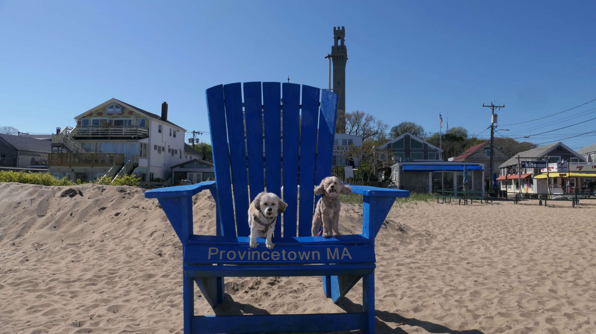 Provincetown50