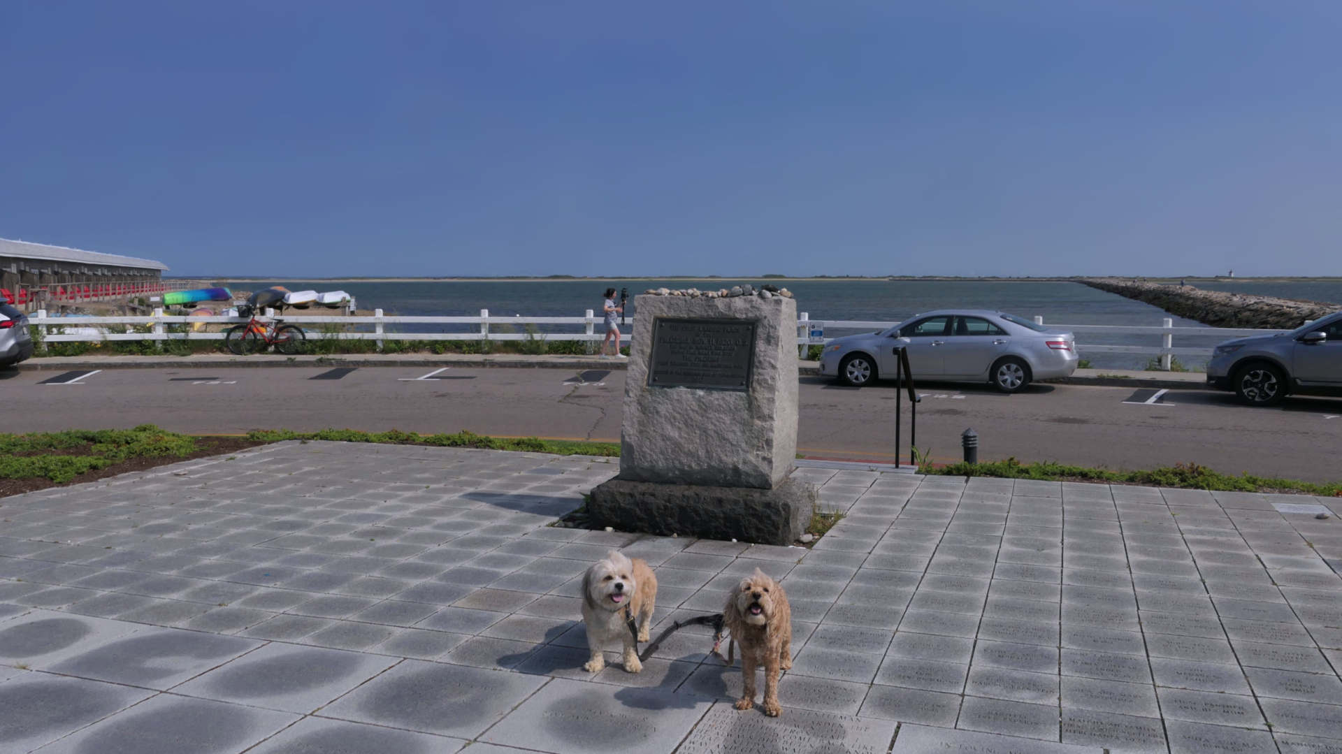 Provincetown57