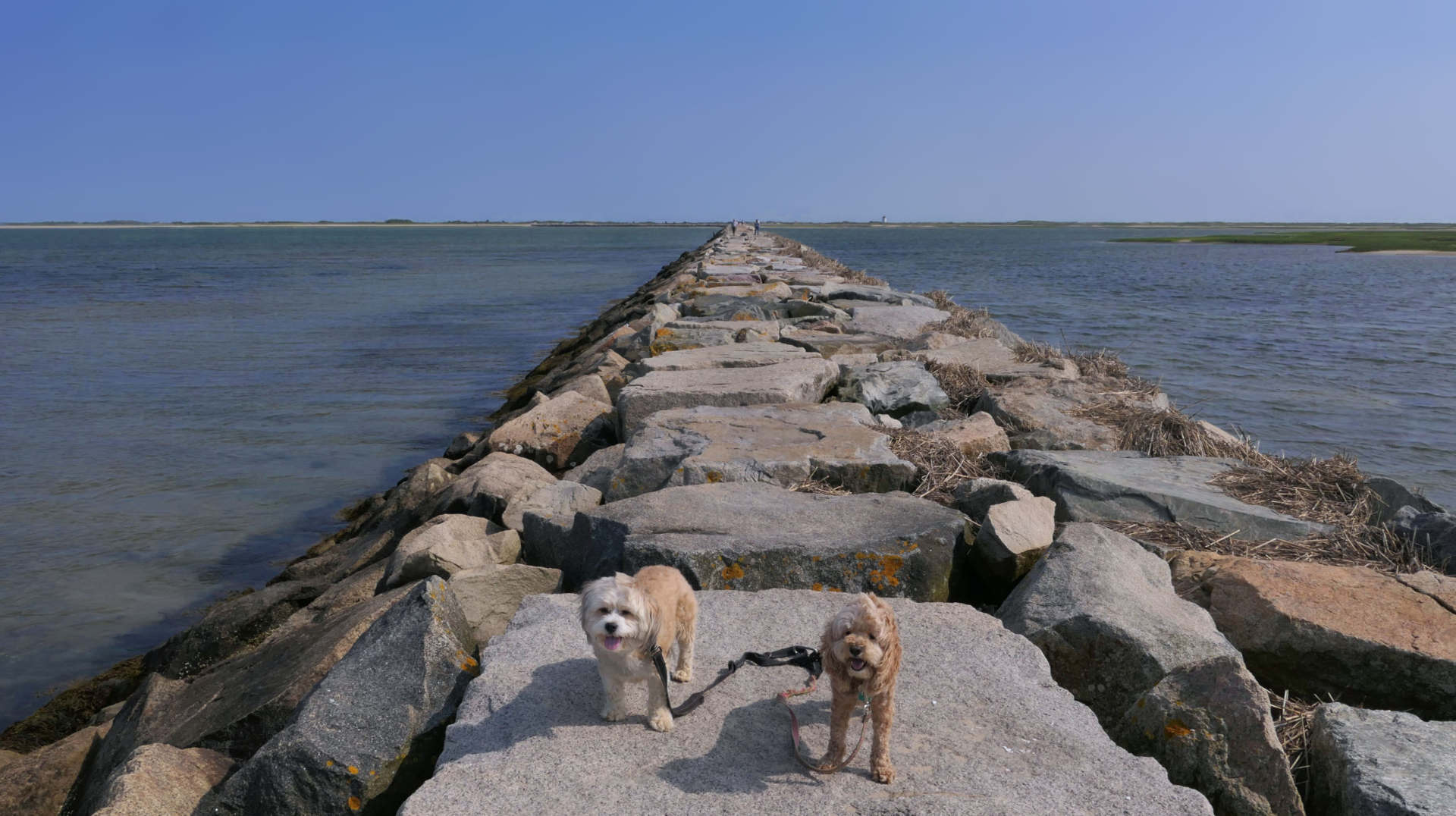 Provincetown58