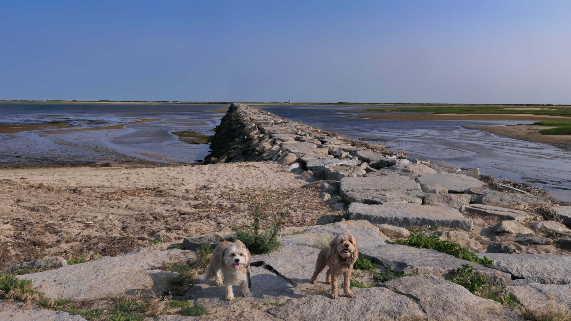 Provincetown60