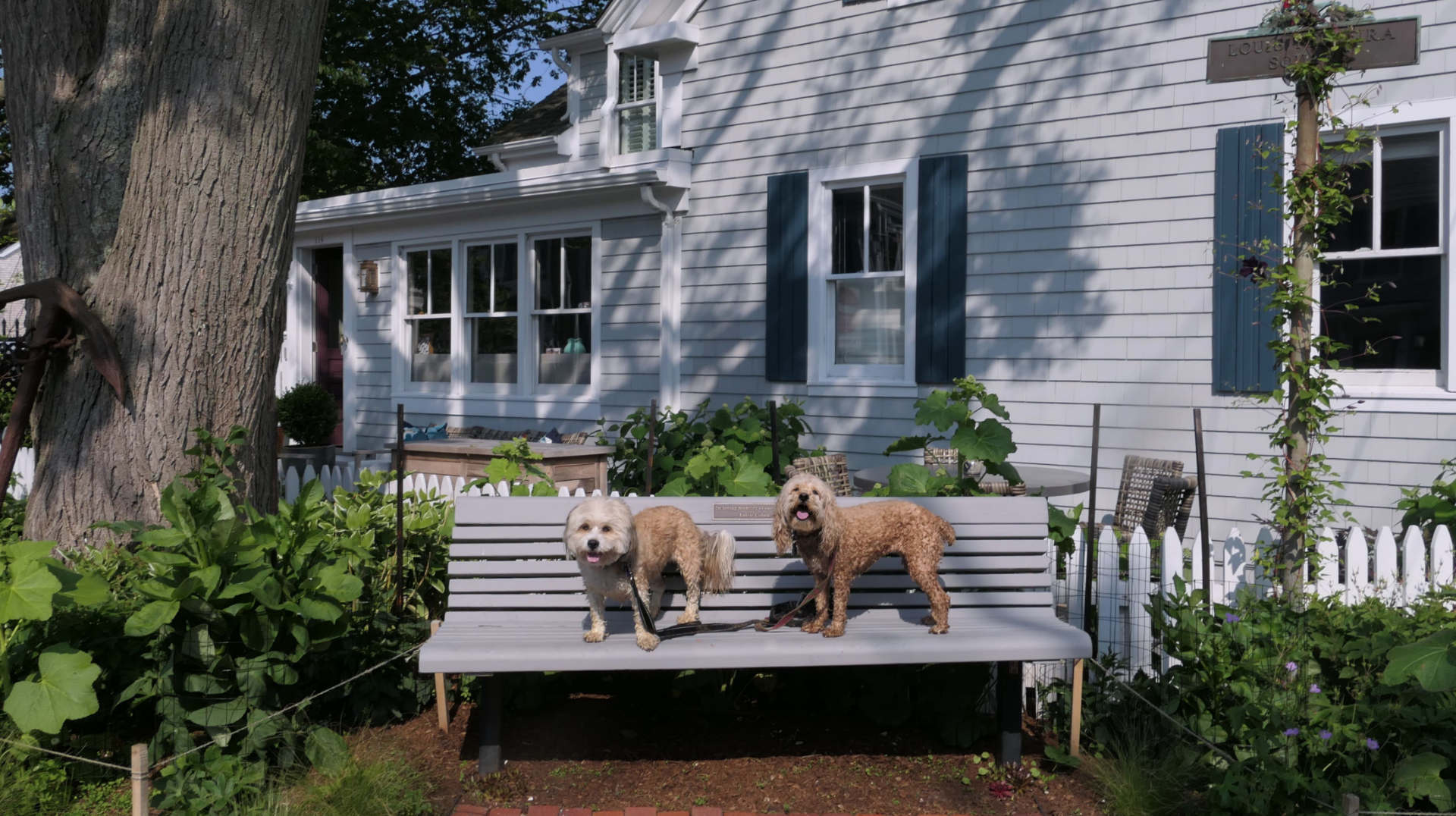 Provincetown62