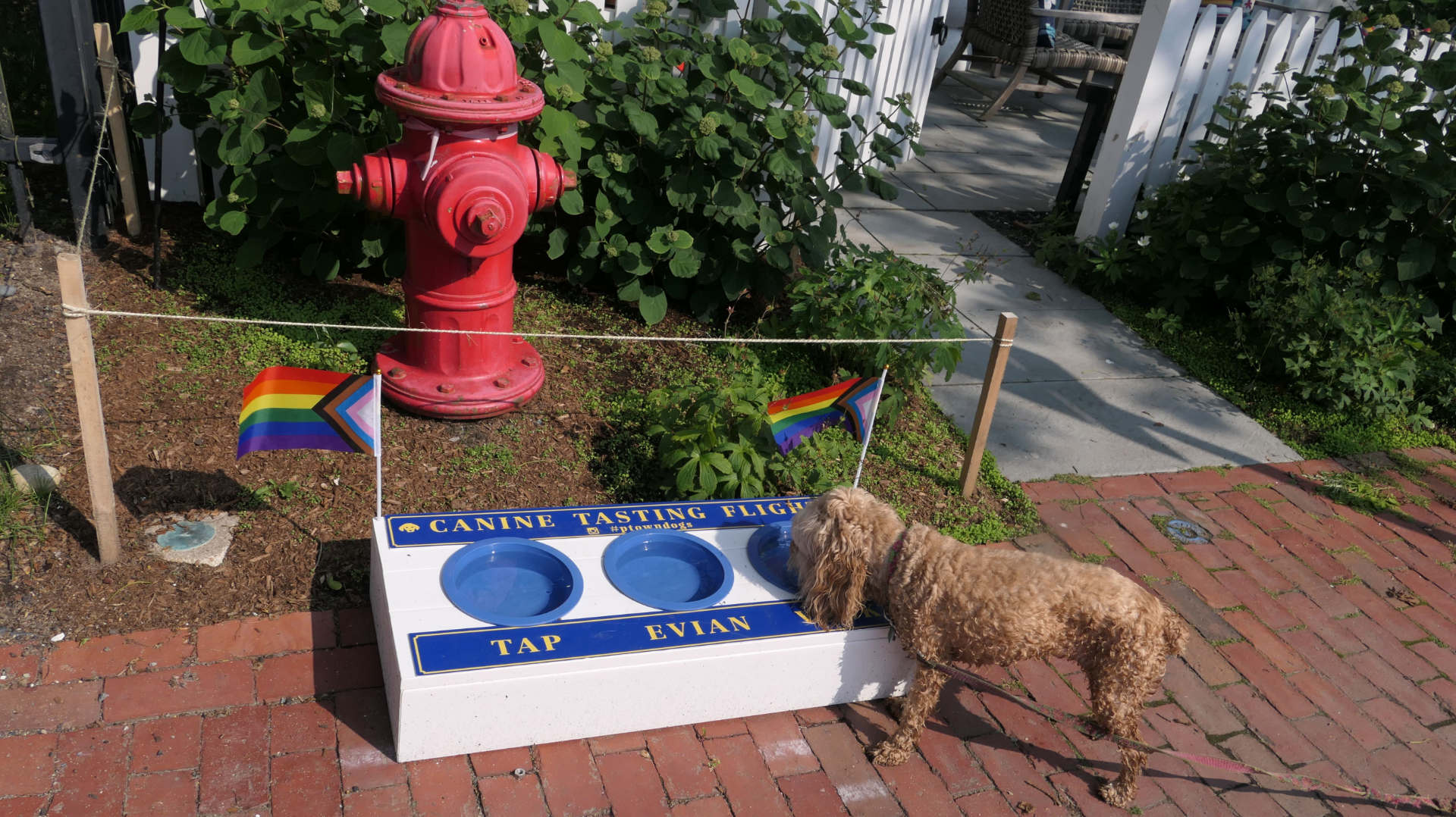 Provincetown64