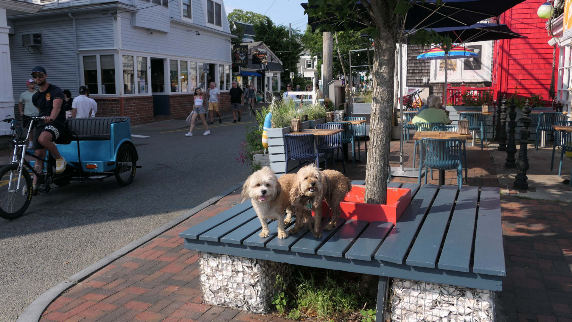 Provincetown67