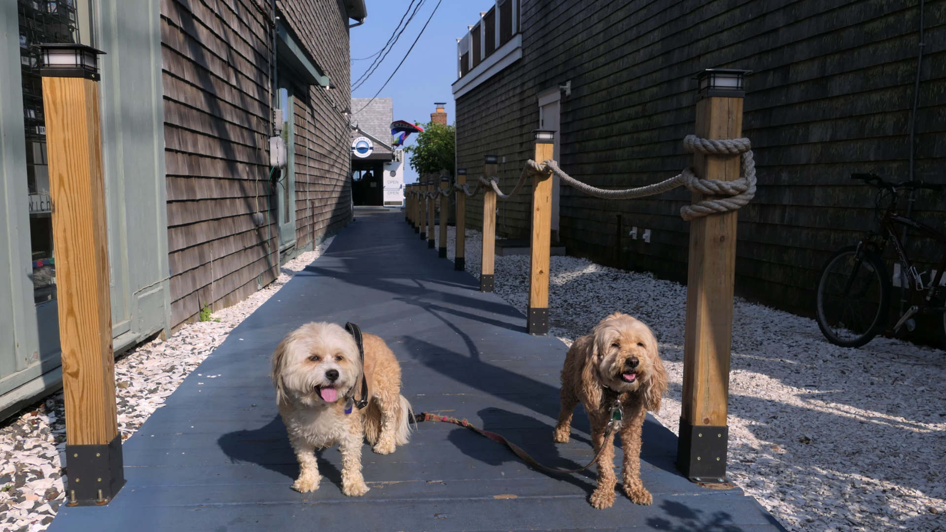 Provincetown70