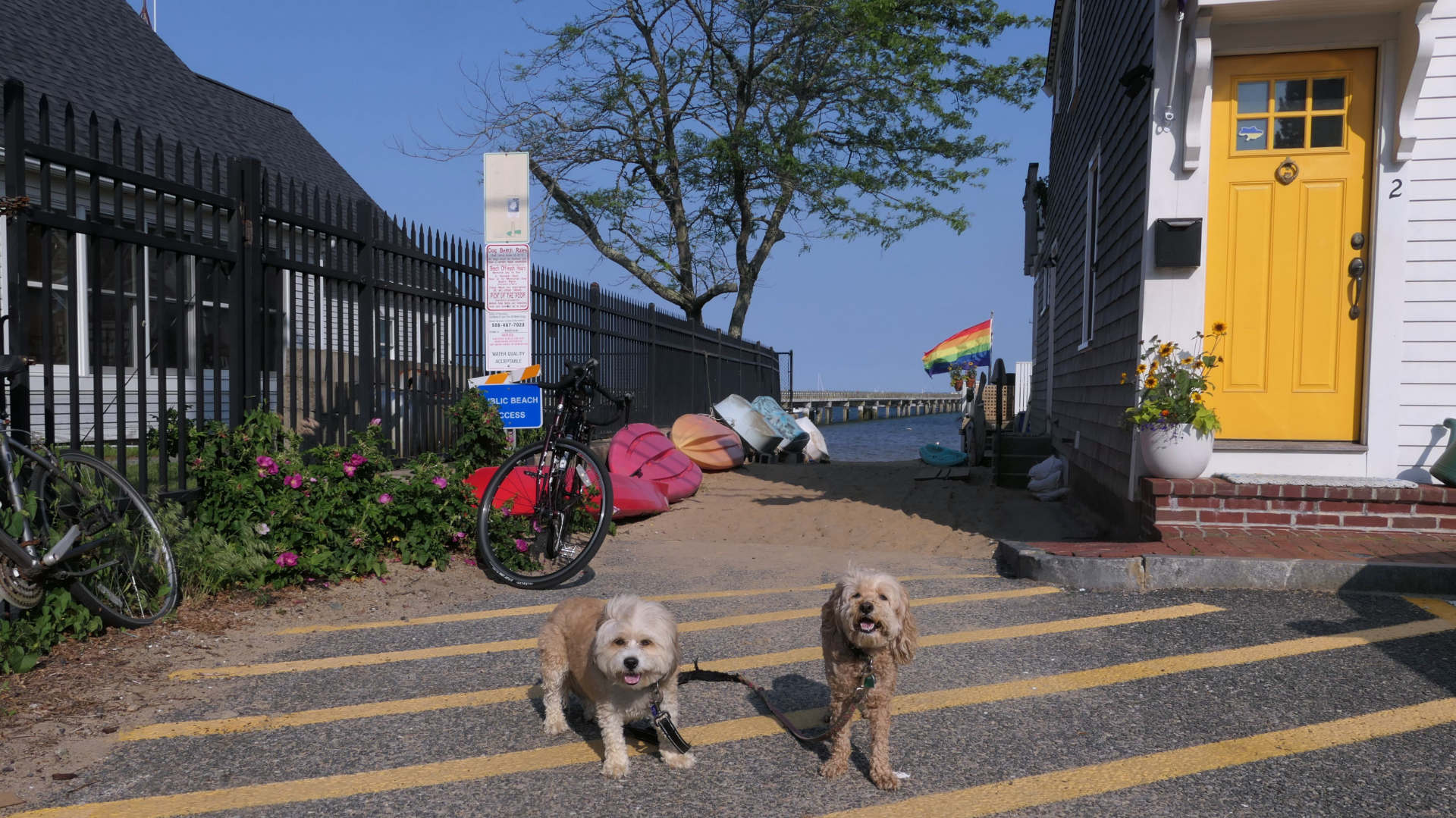 Provincetown71