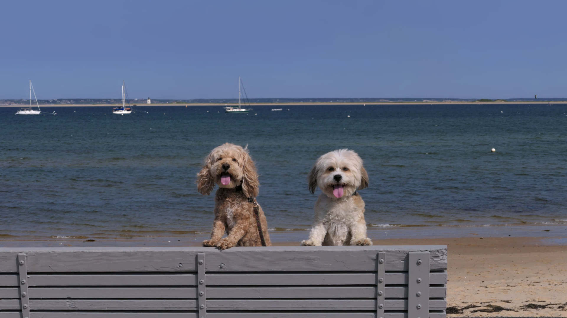 Provincetown72