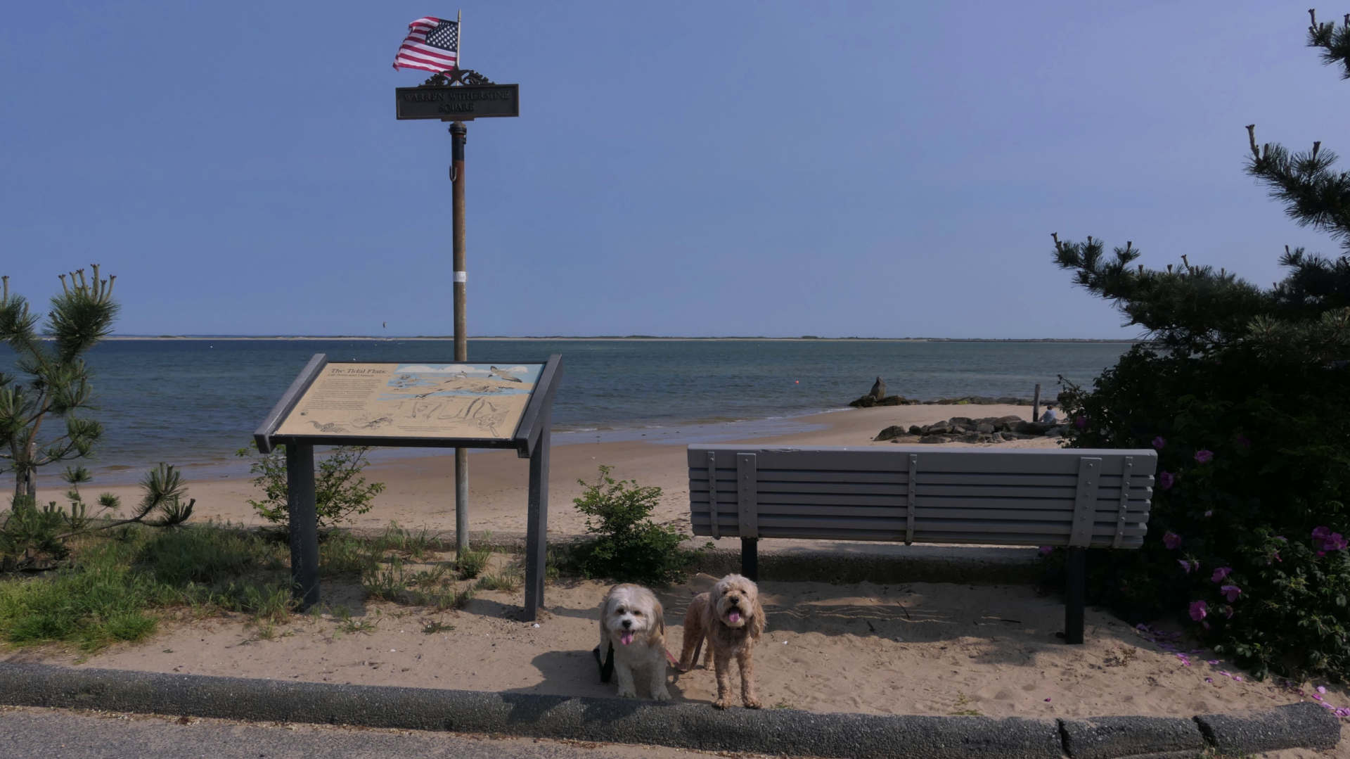 Provincetown73