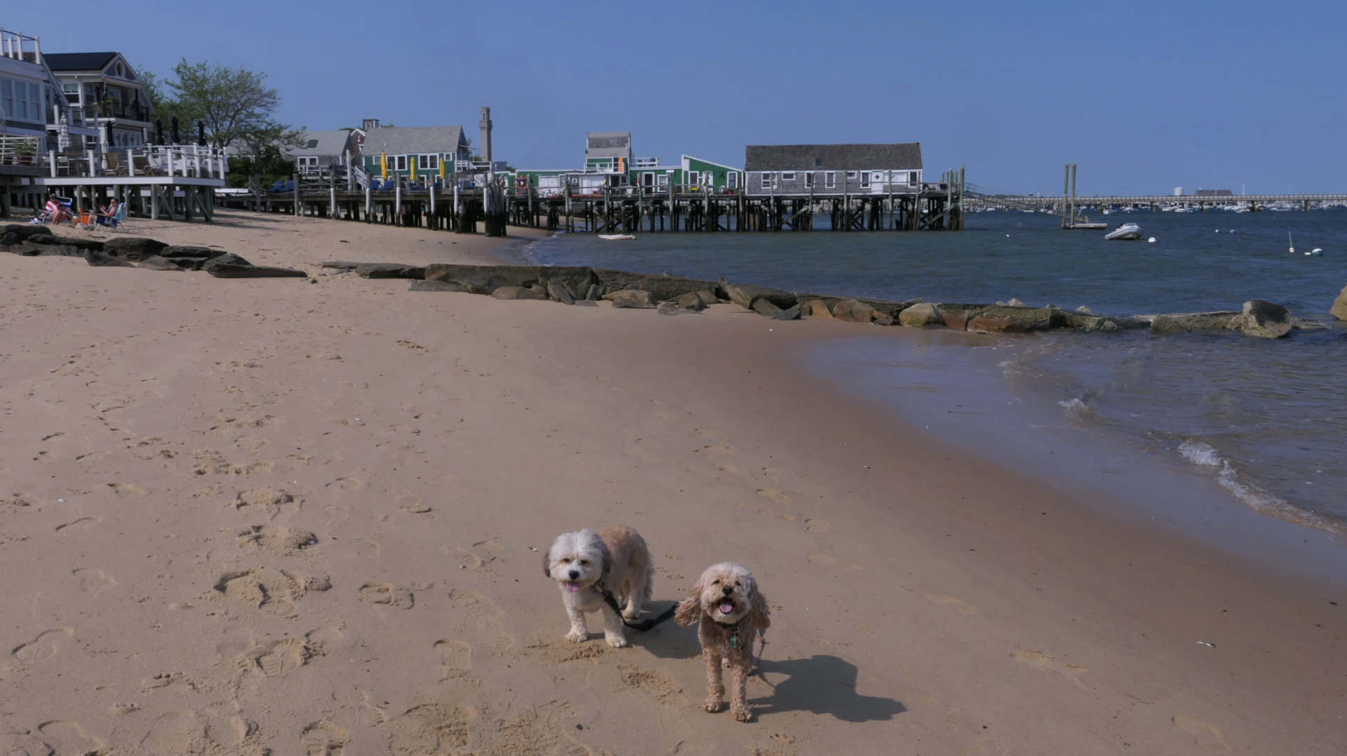 Provincetown74