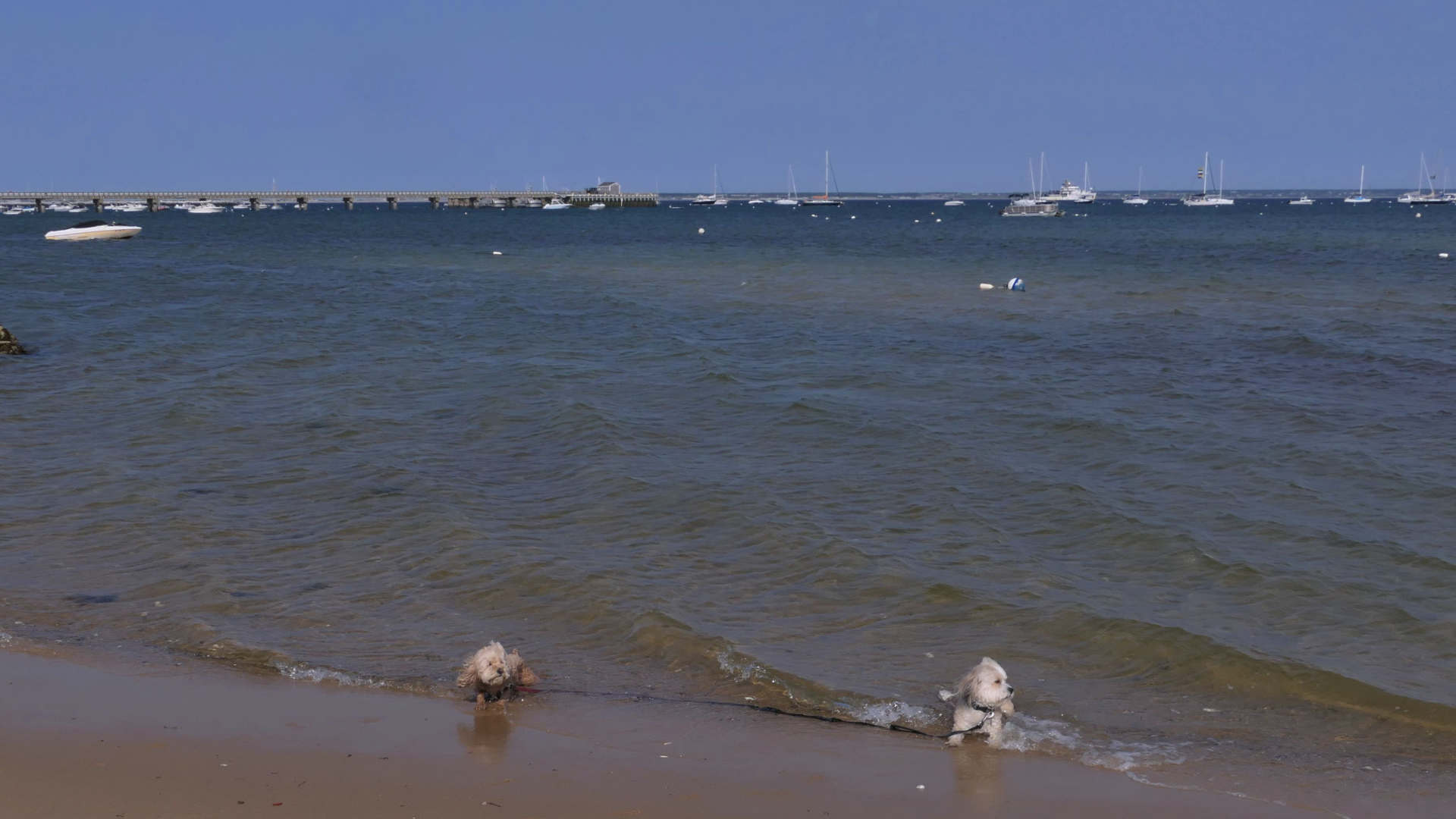 Provincetown75