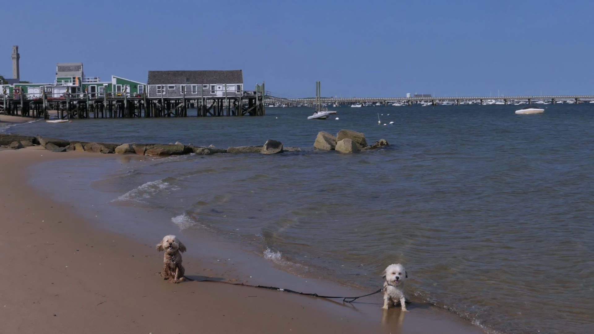 Provincetown76