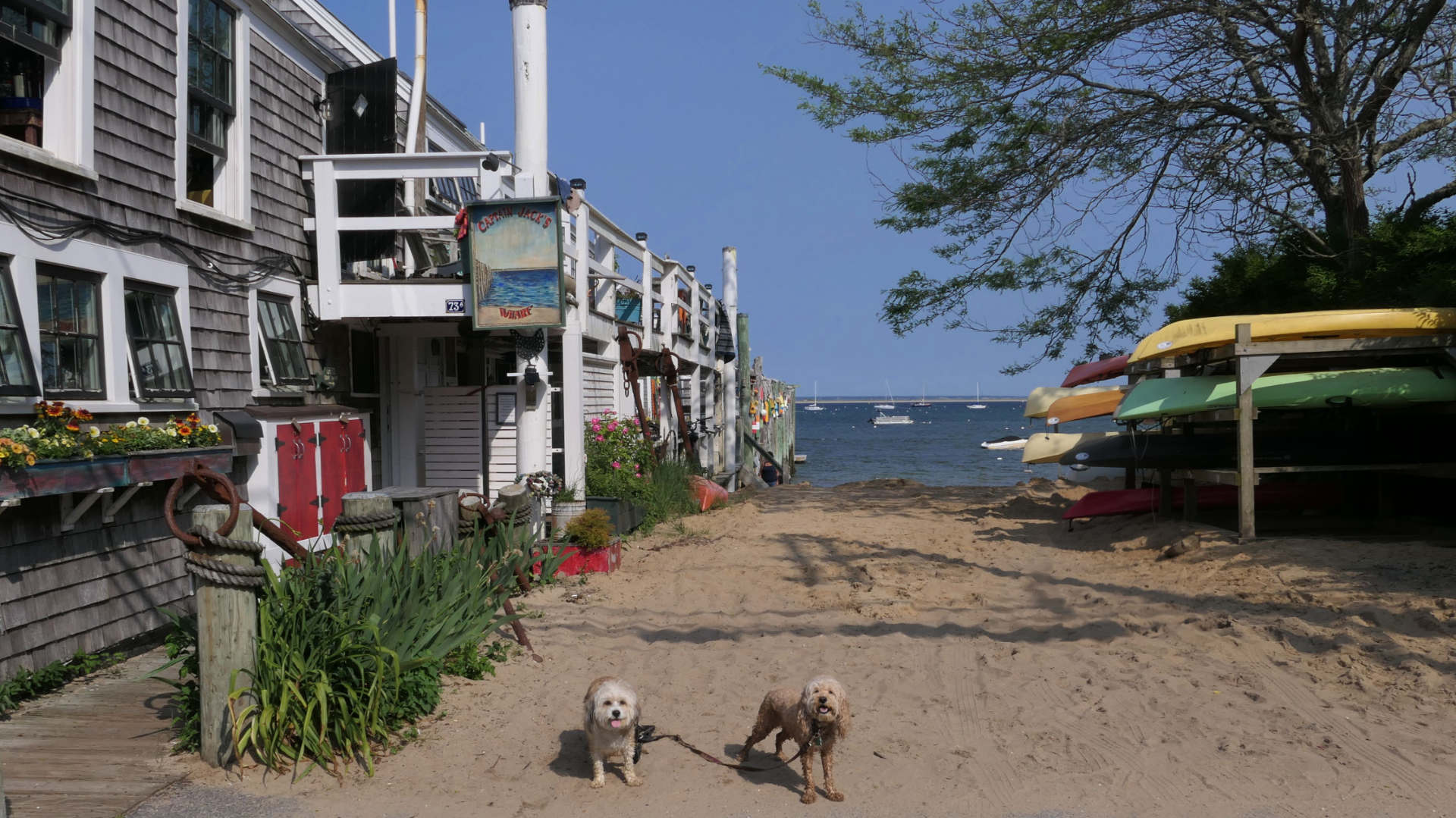 Provincetown77