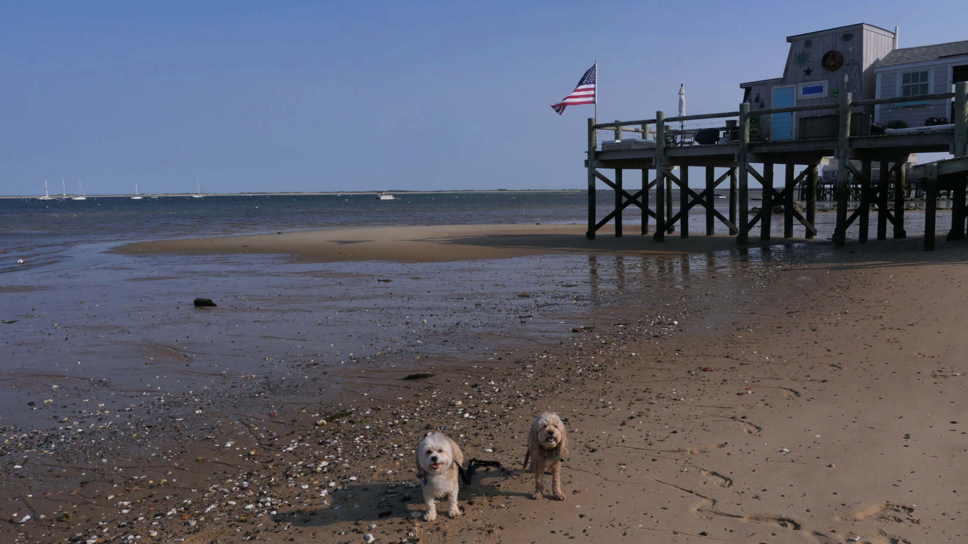 Provincetown79