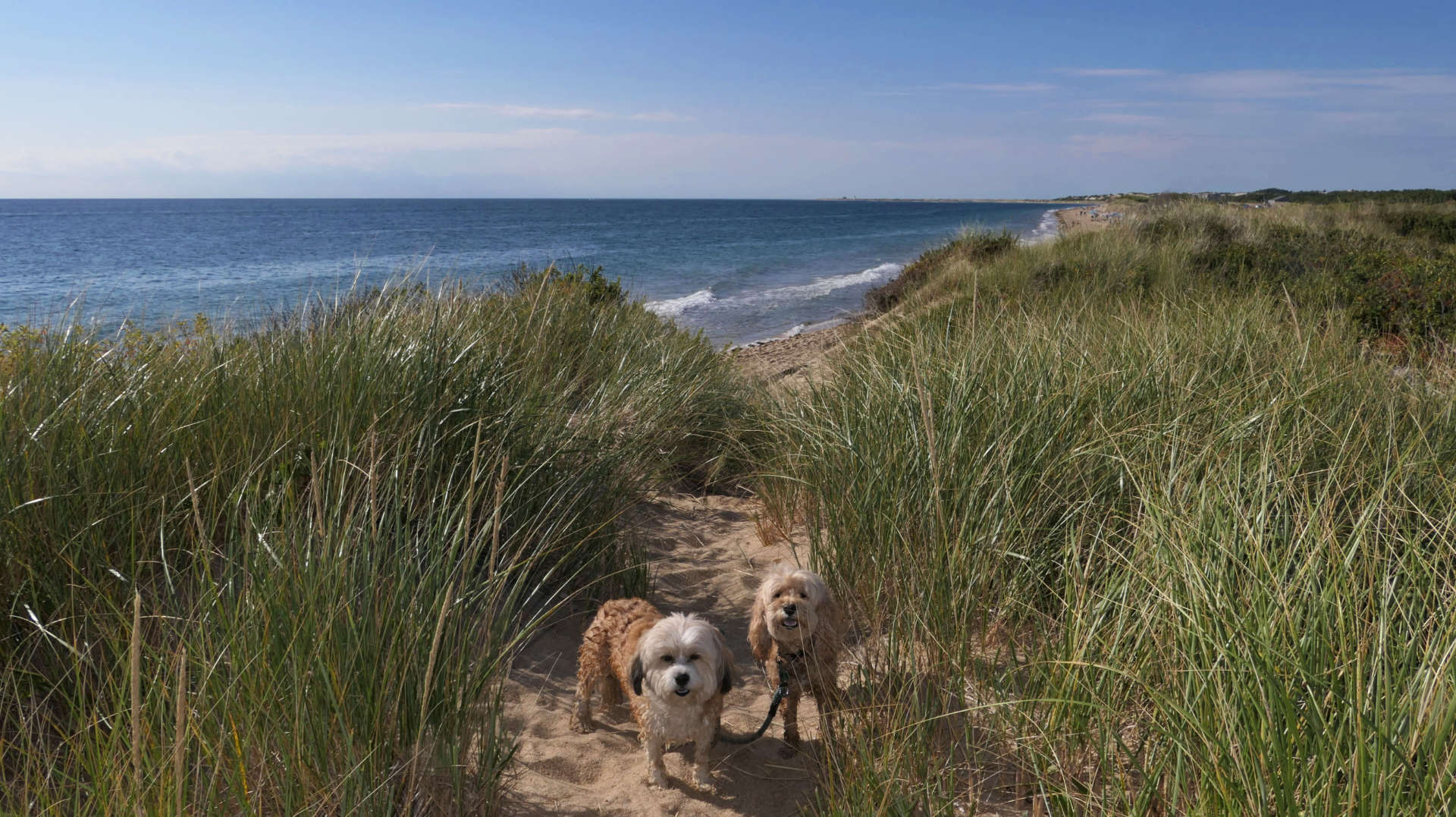 Provincetown95