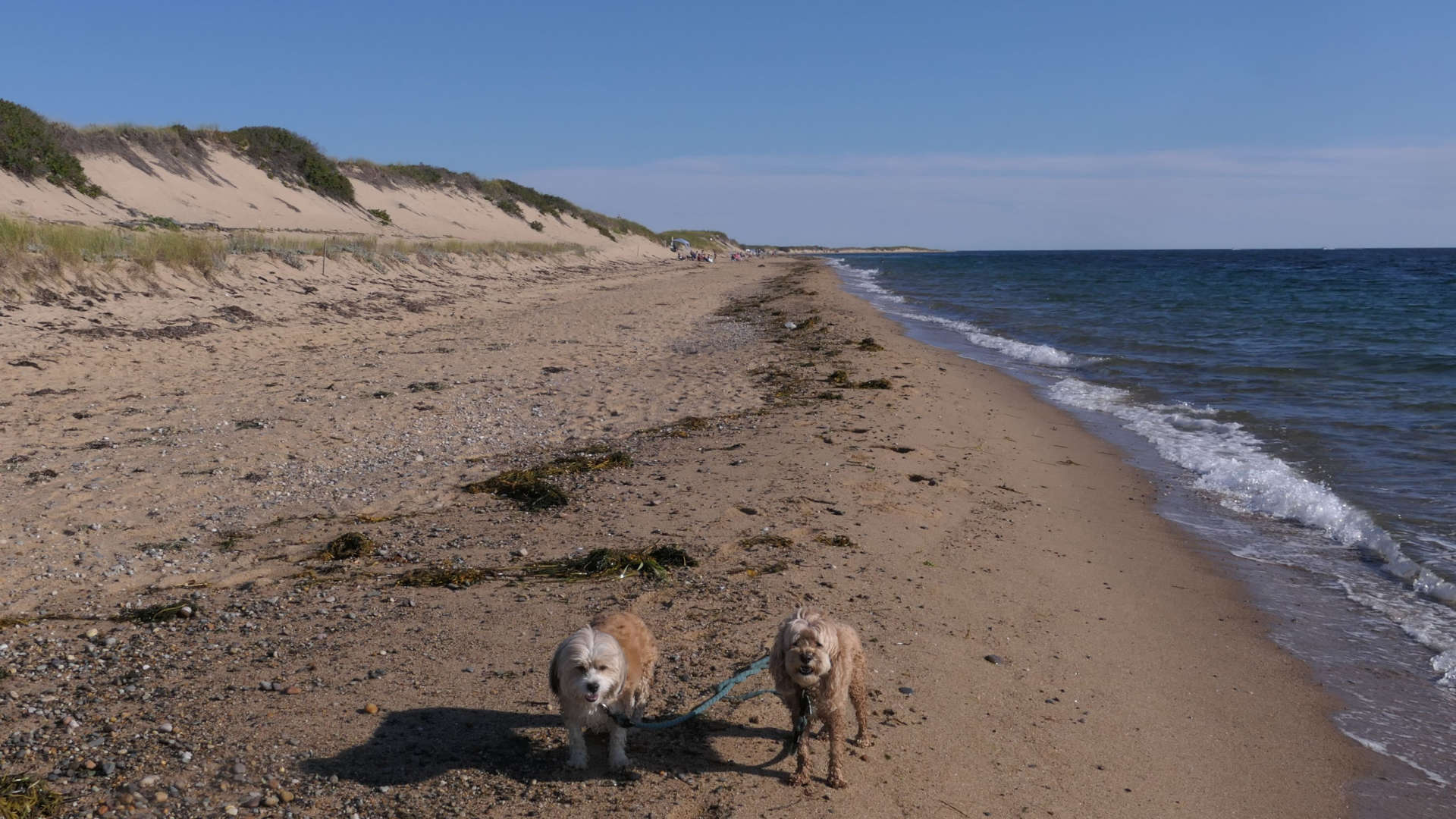 Provincetown98