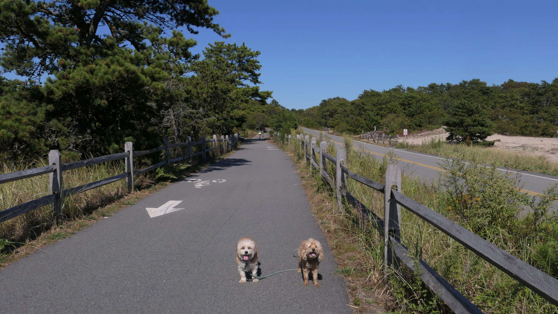 Provincetown99
