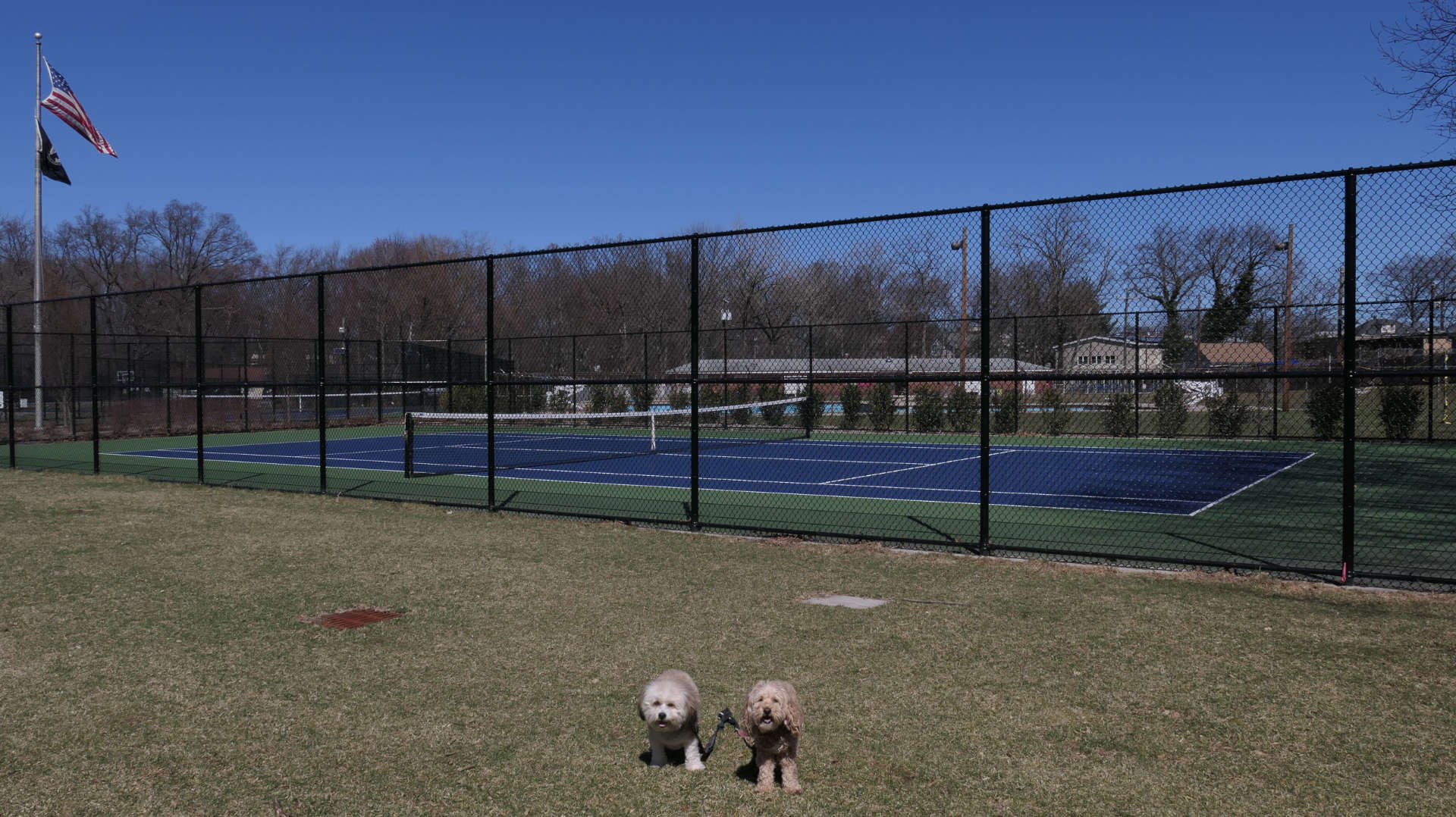 Rochelle_Park2