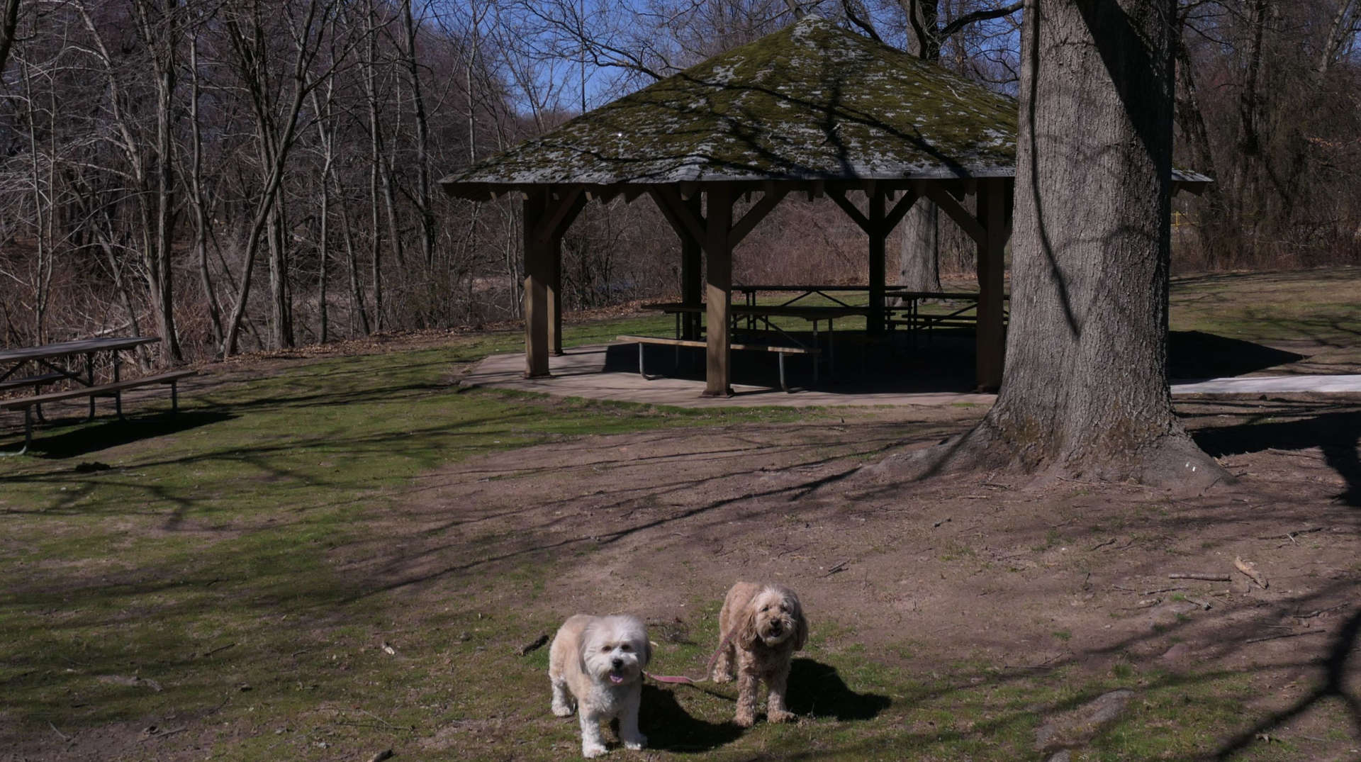 Rochelle_Park3