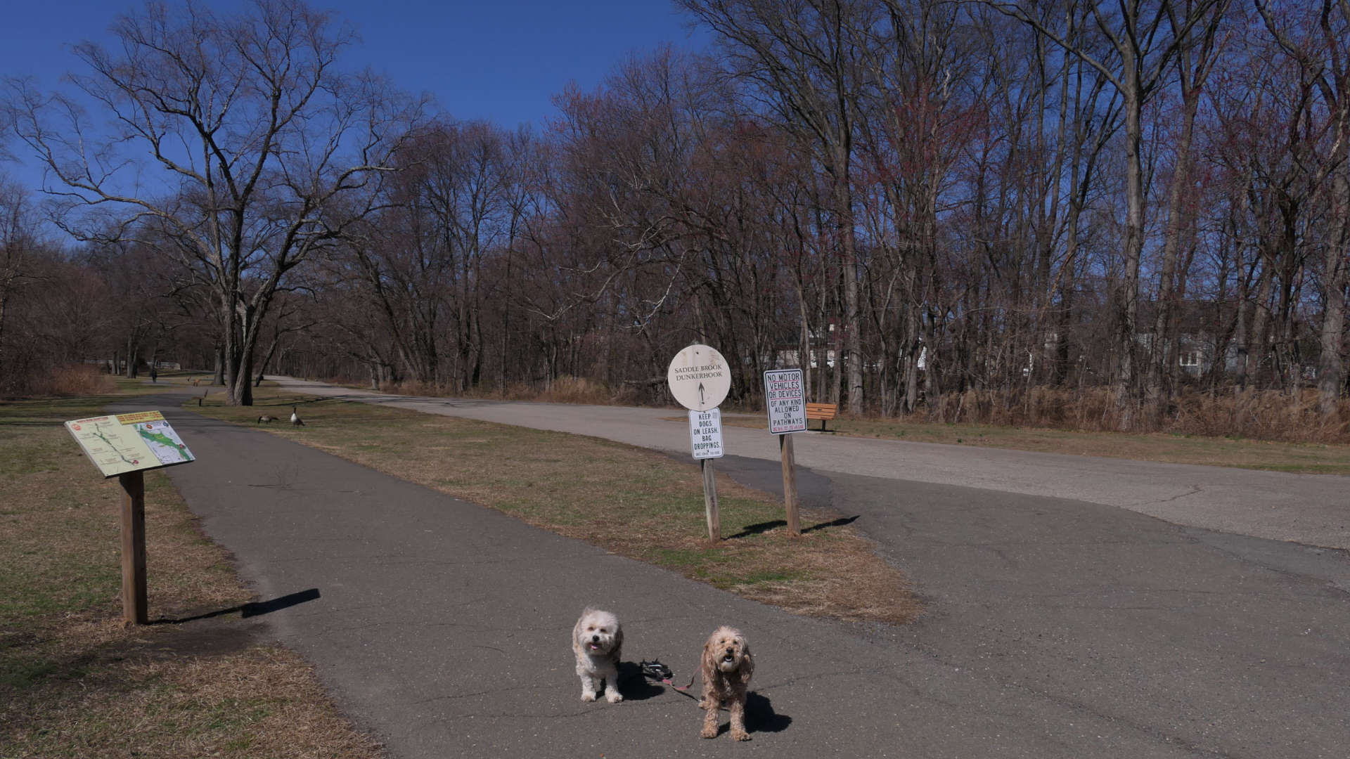 Rochelle_Park4