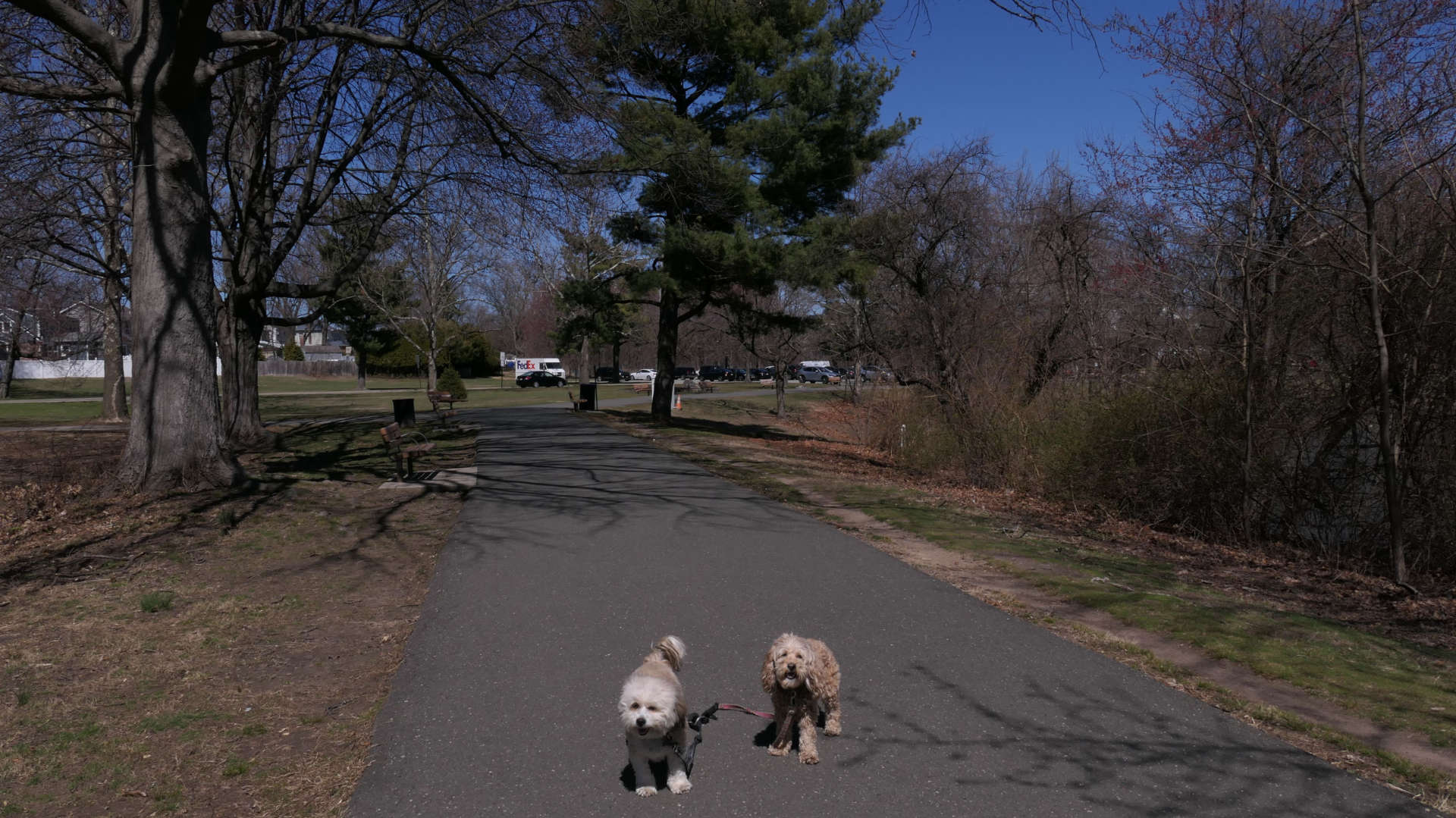 Saddle_Brook