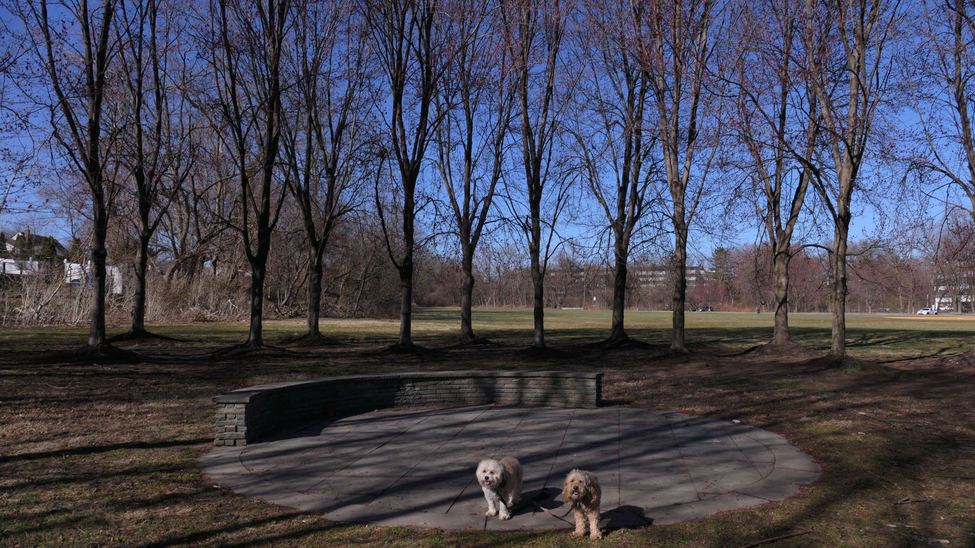 Saddle_Brook11