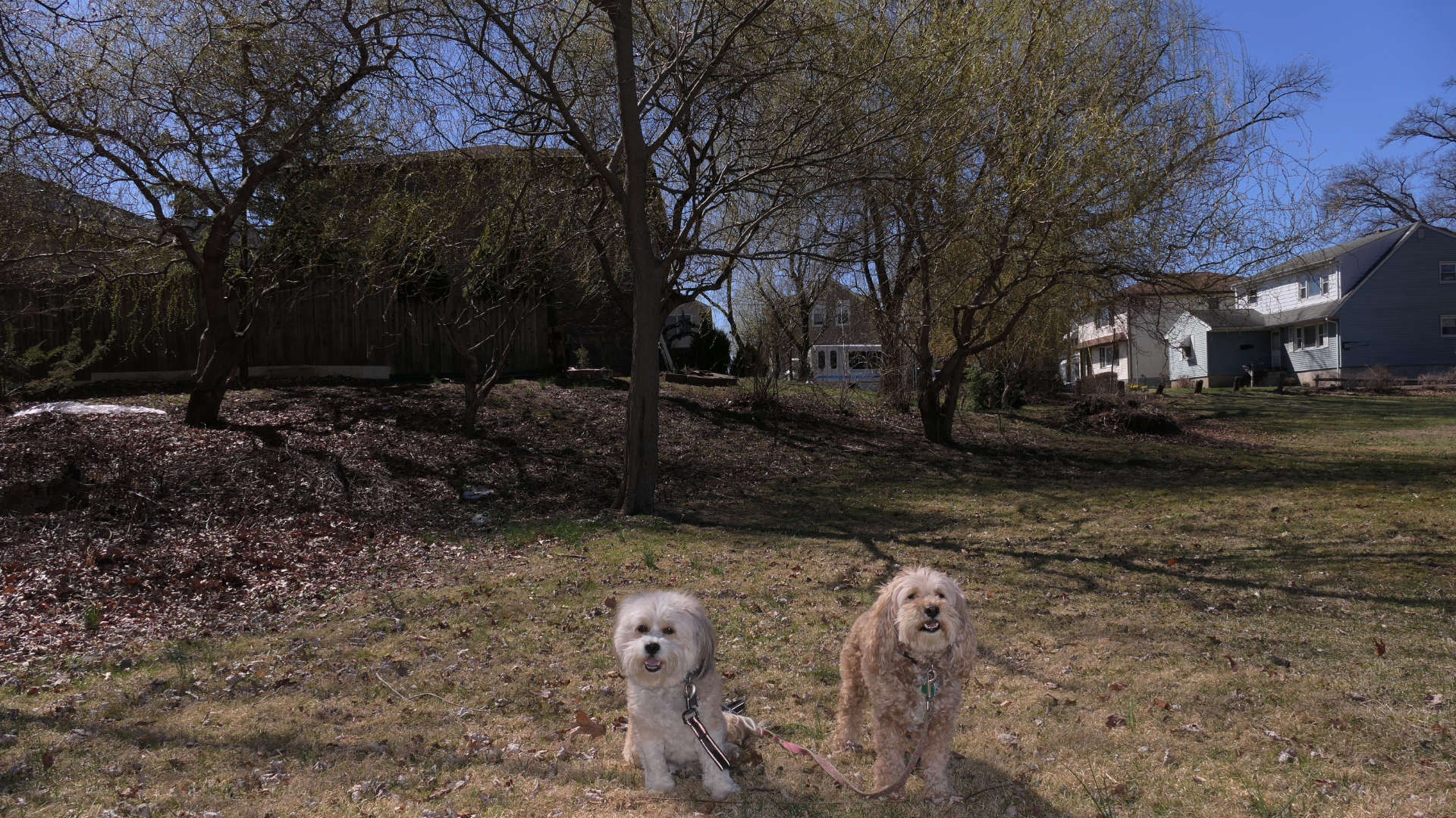 Saddle_Brook4