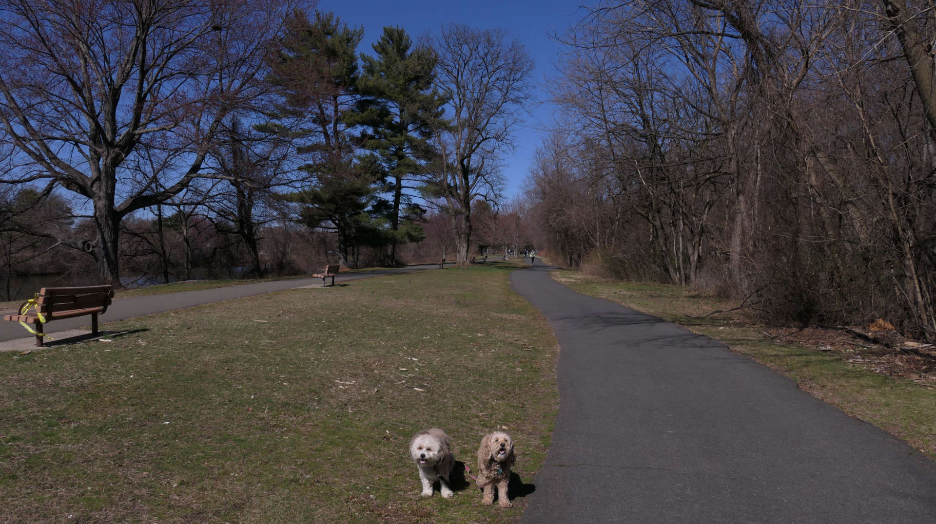 Saddle_Brook7