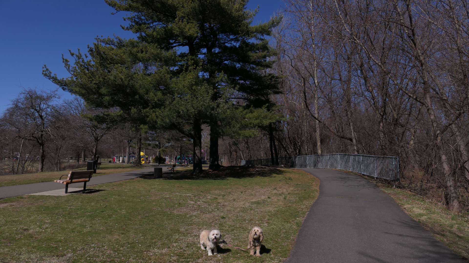 Saddle_Brook8