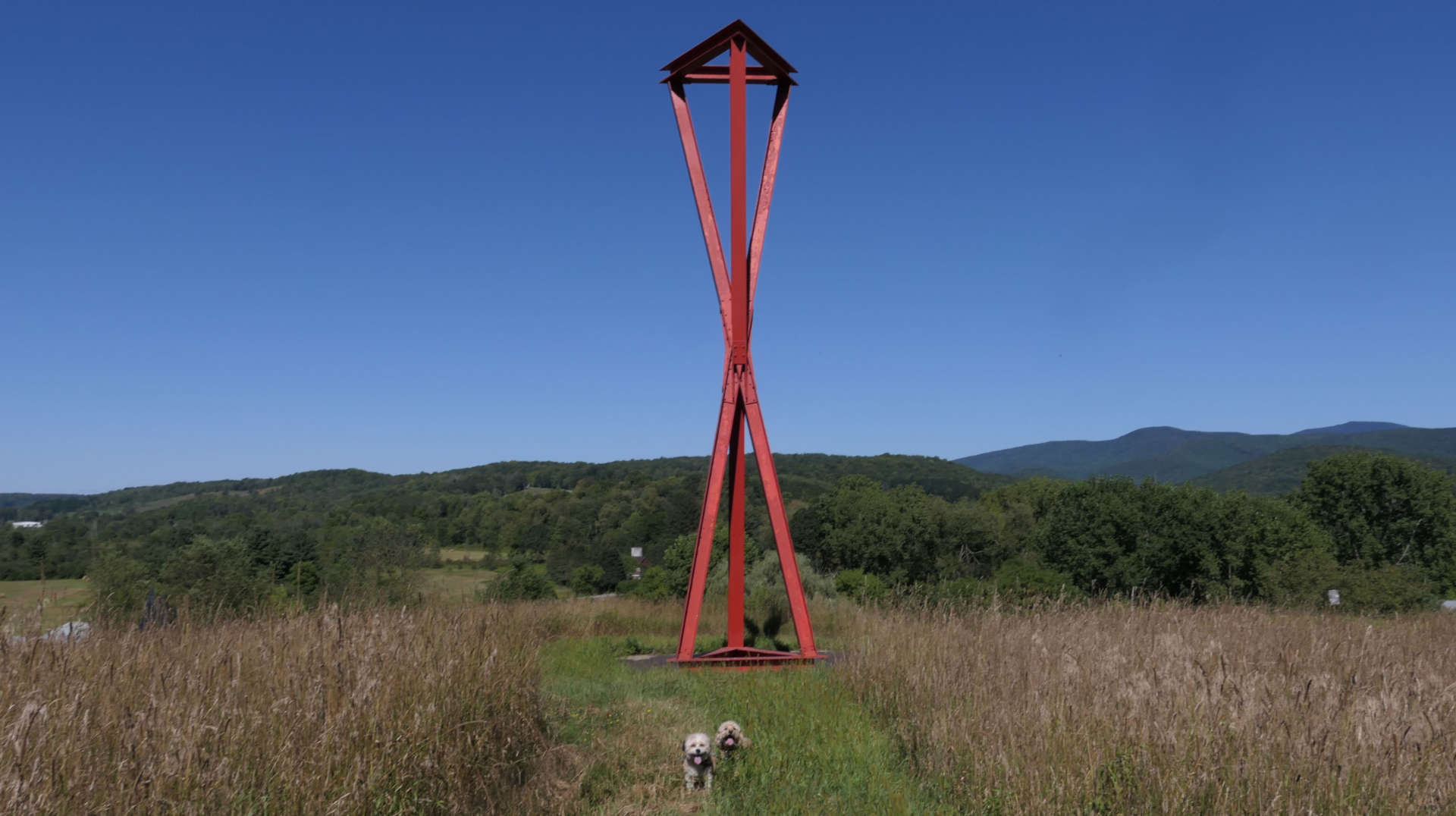 SalemNY46
