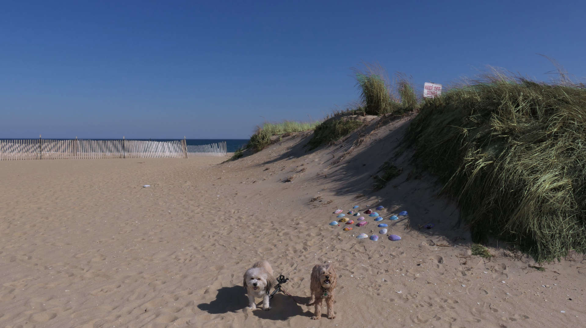 Sea_Girt12