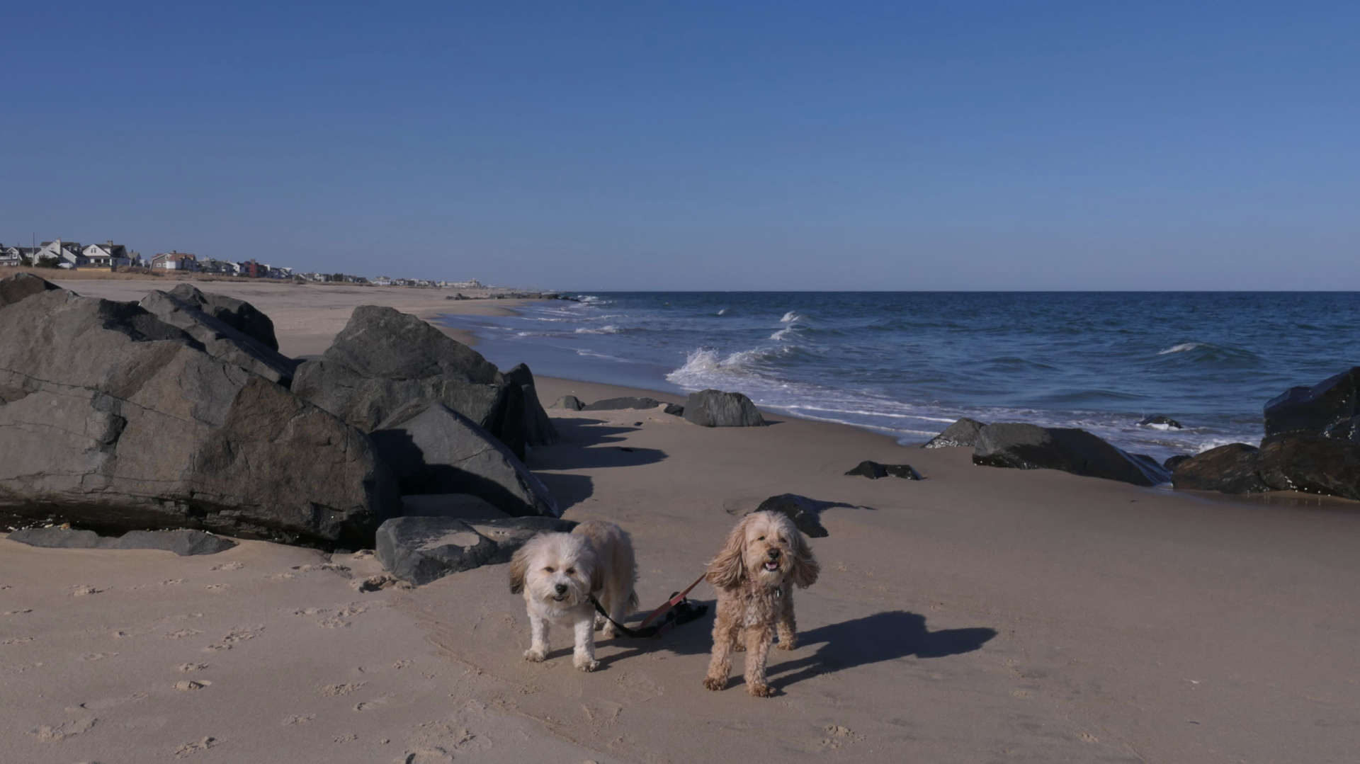 Sea_Girt14