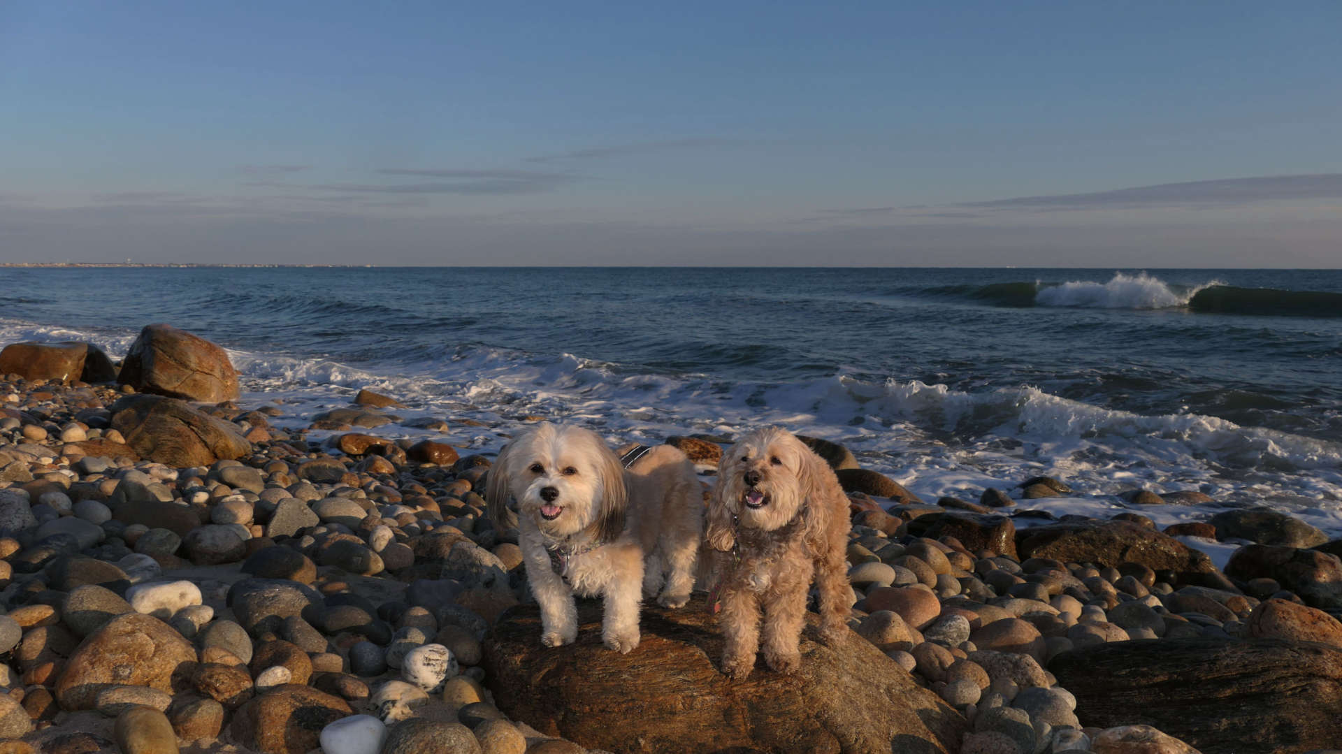 South_Kingstown386