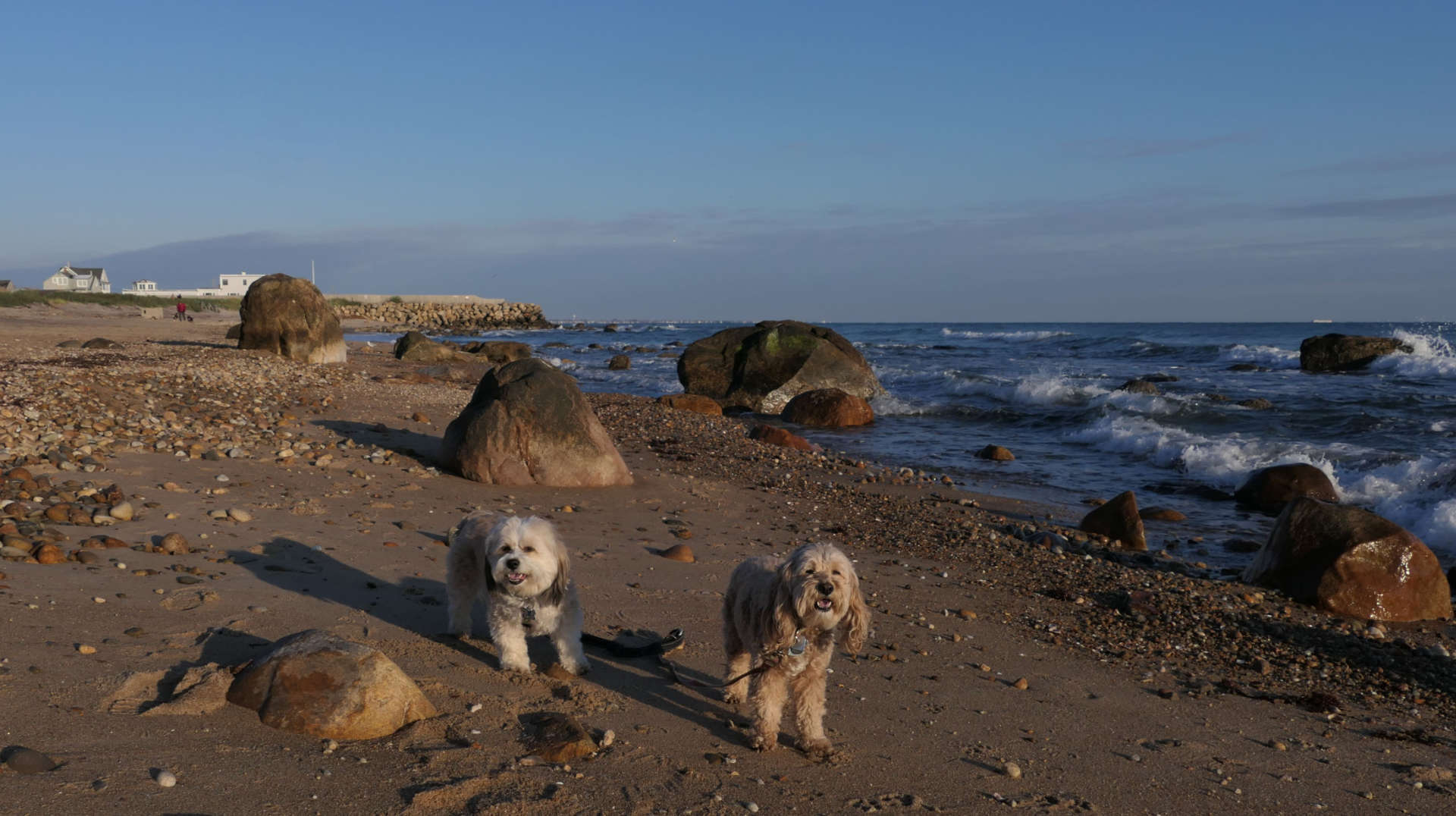 South_Kingstown388