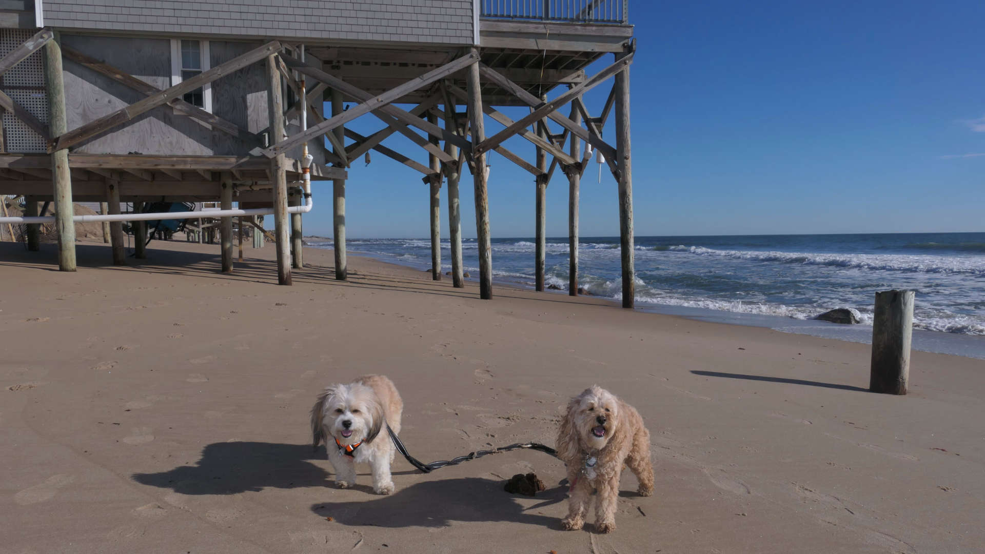 South_Kingstown414
