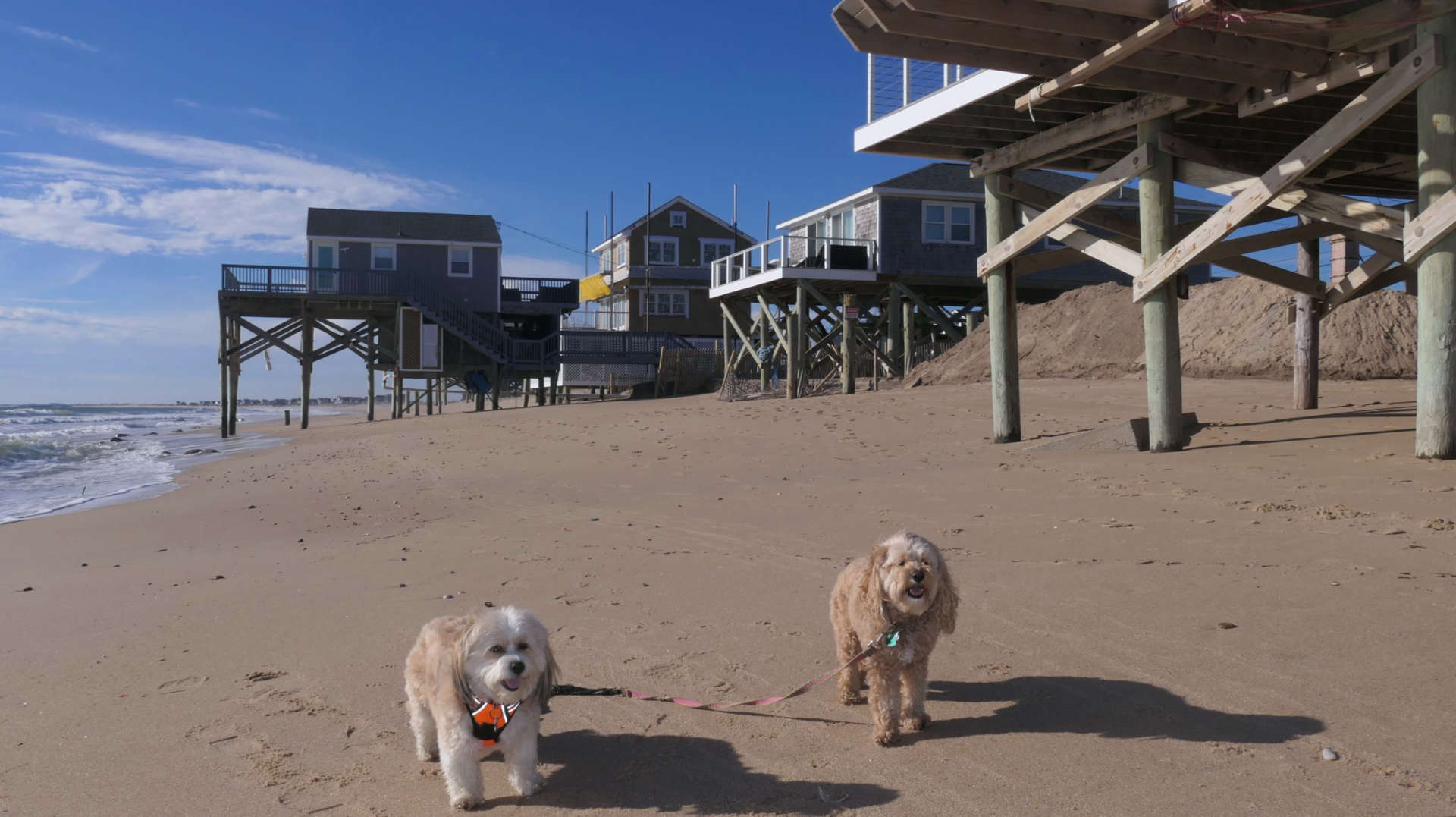 South_Kingstown415
