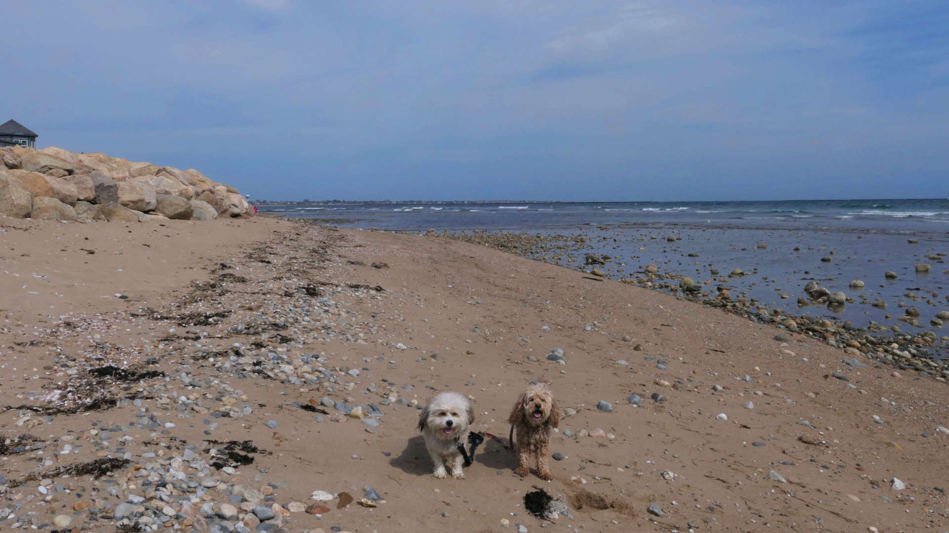 South_Kingstown448