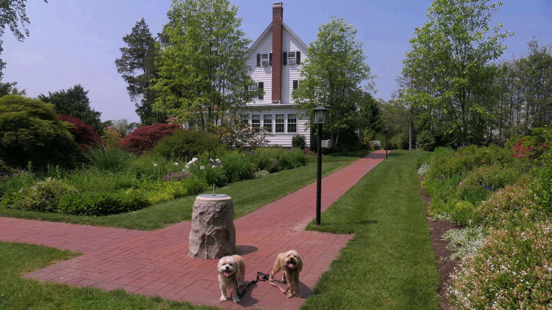 South_Kingstown499