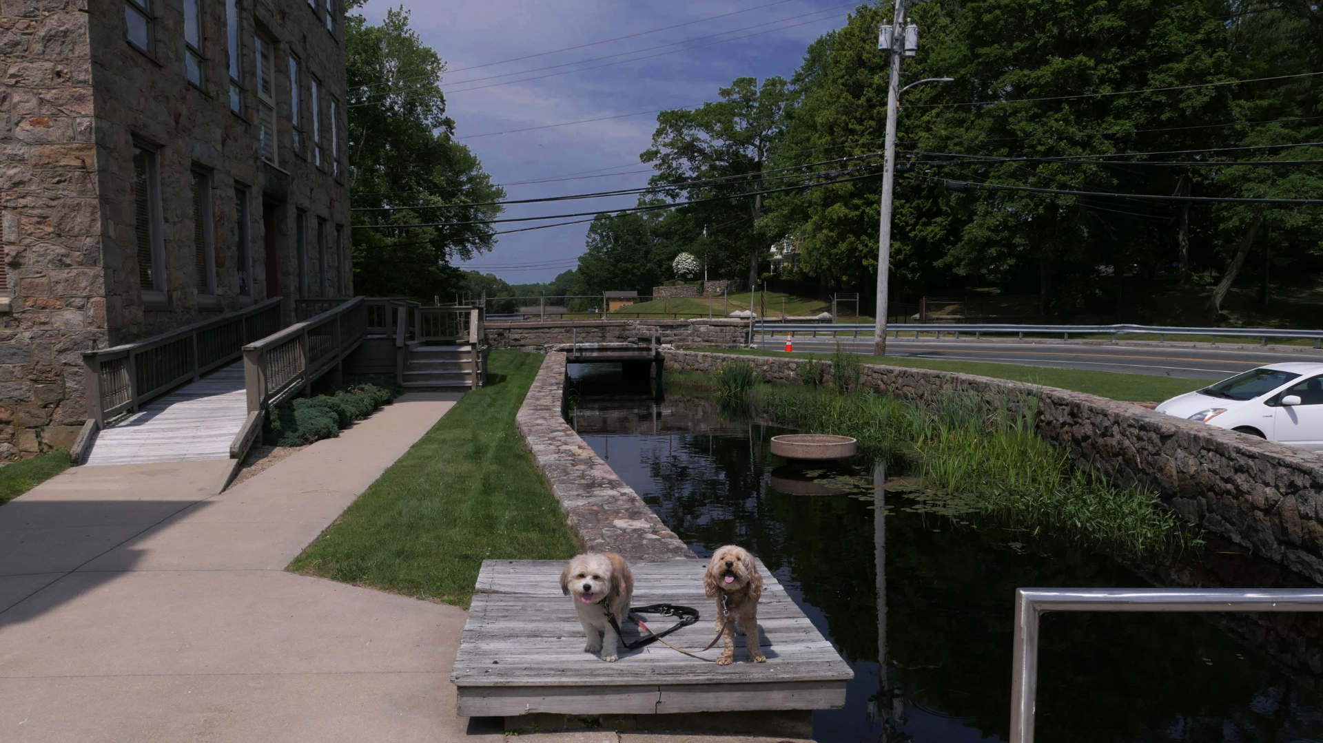 South_Kingstown507