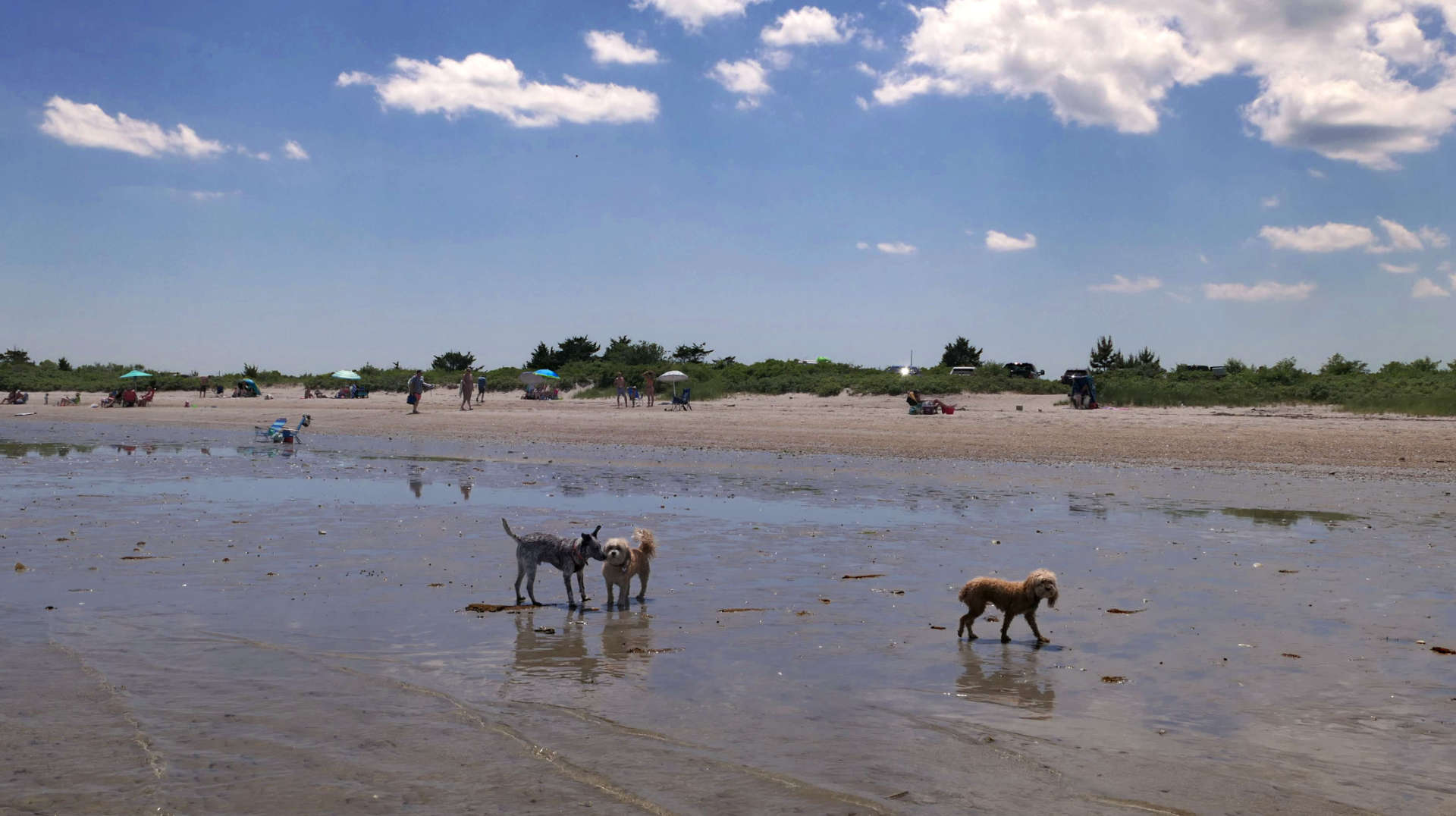South_Kingstown525