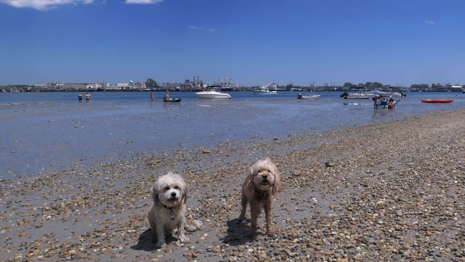 South_Kingstown526