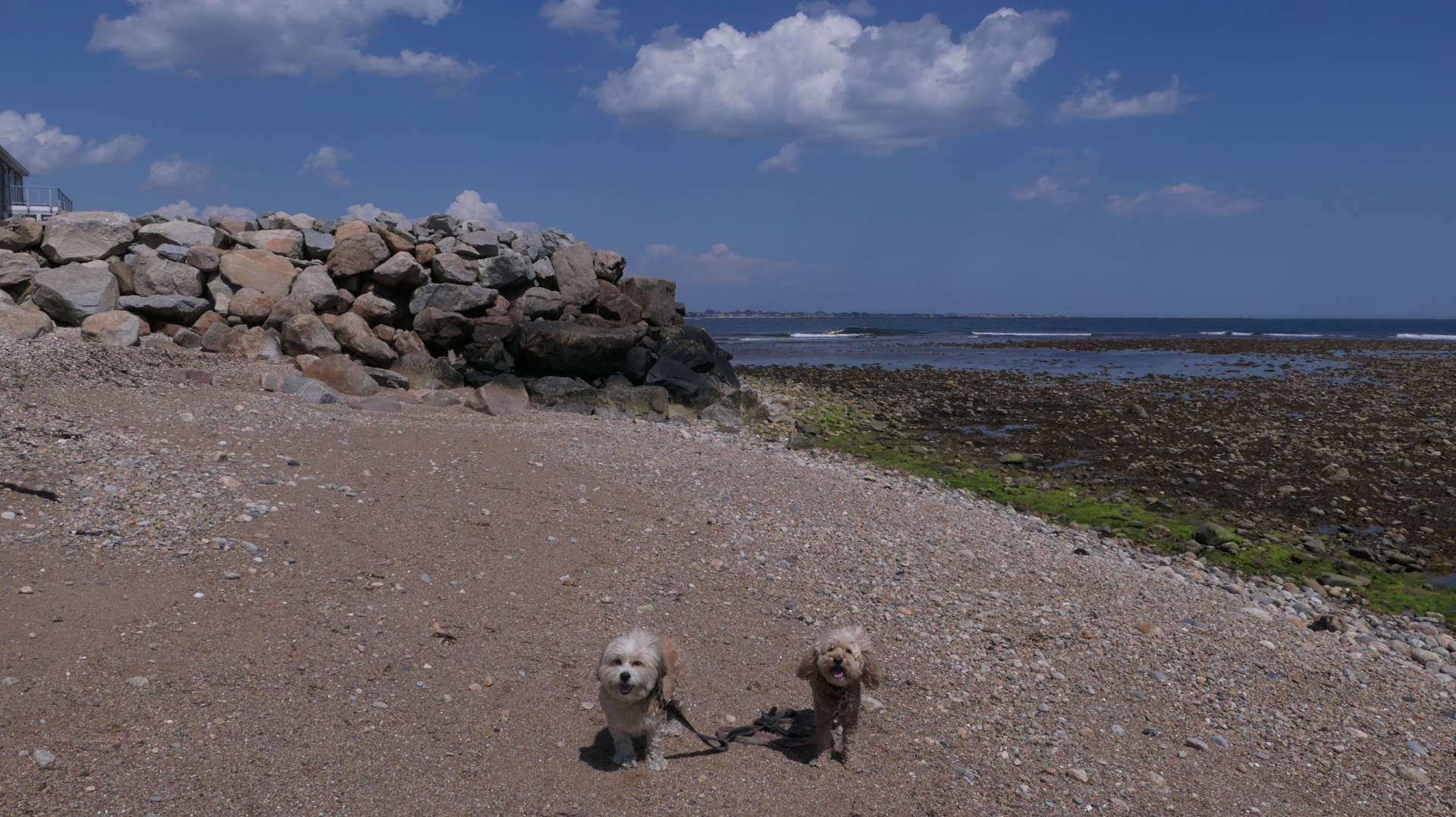 South_Kingstown527