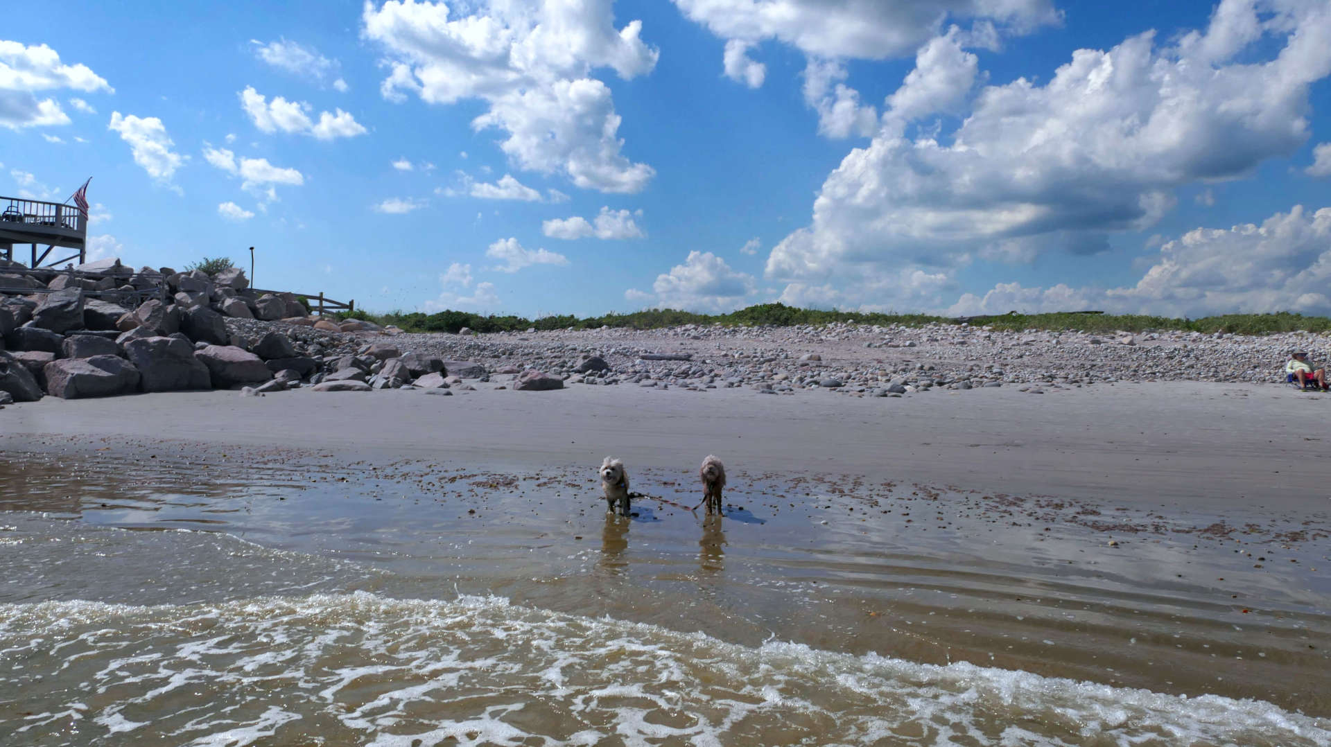 South_Kingstown536