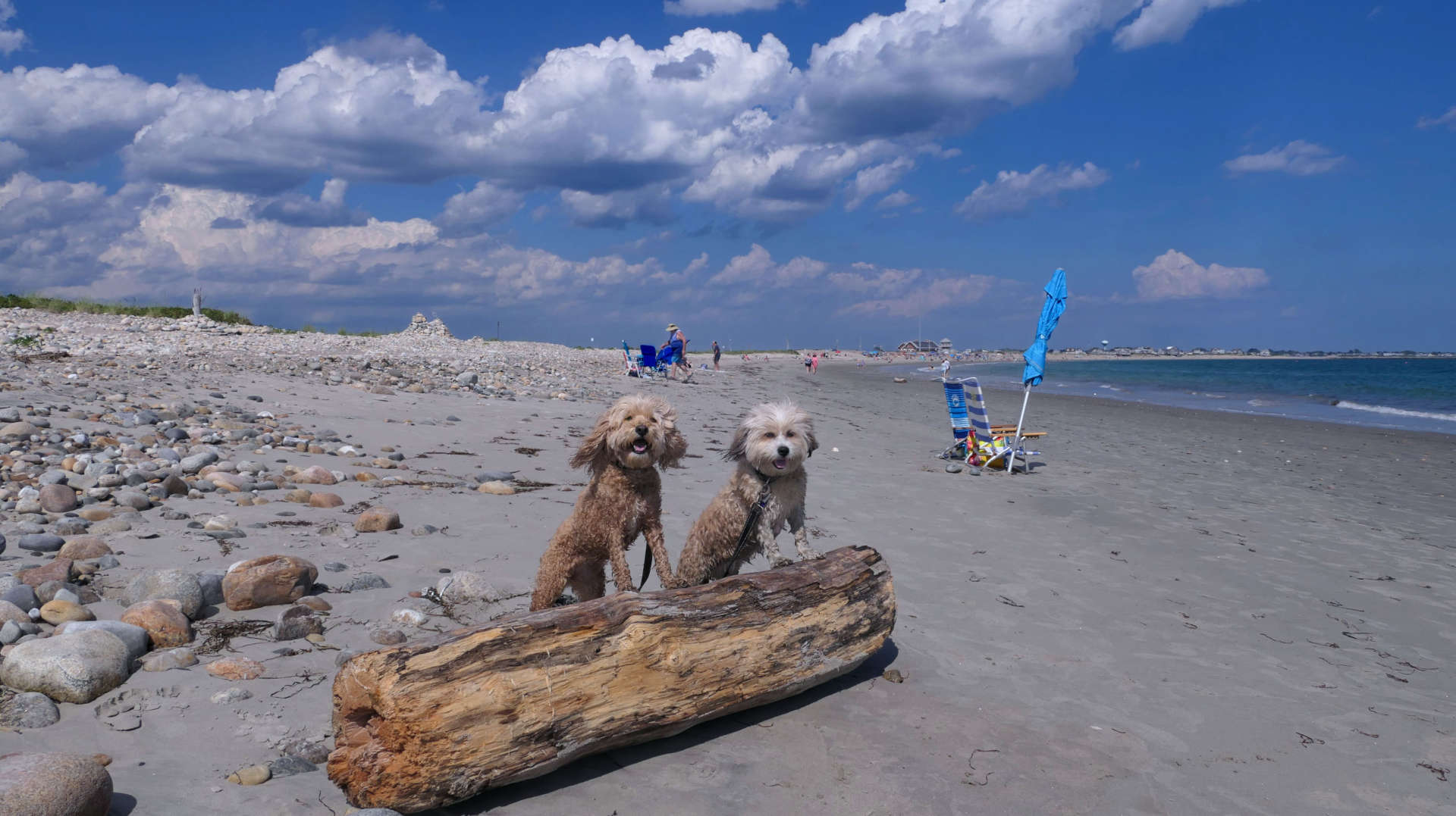 South_Kingstown537