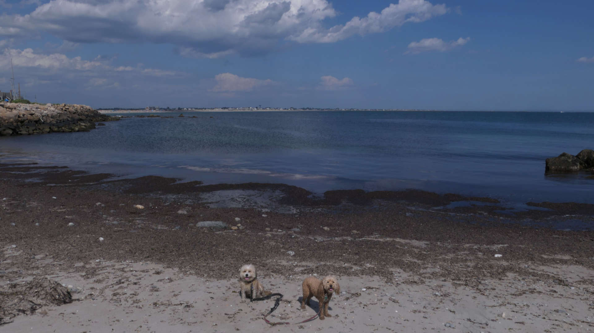 South_Kingstown540