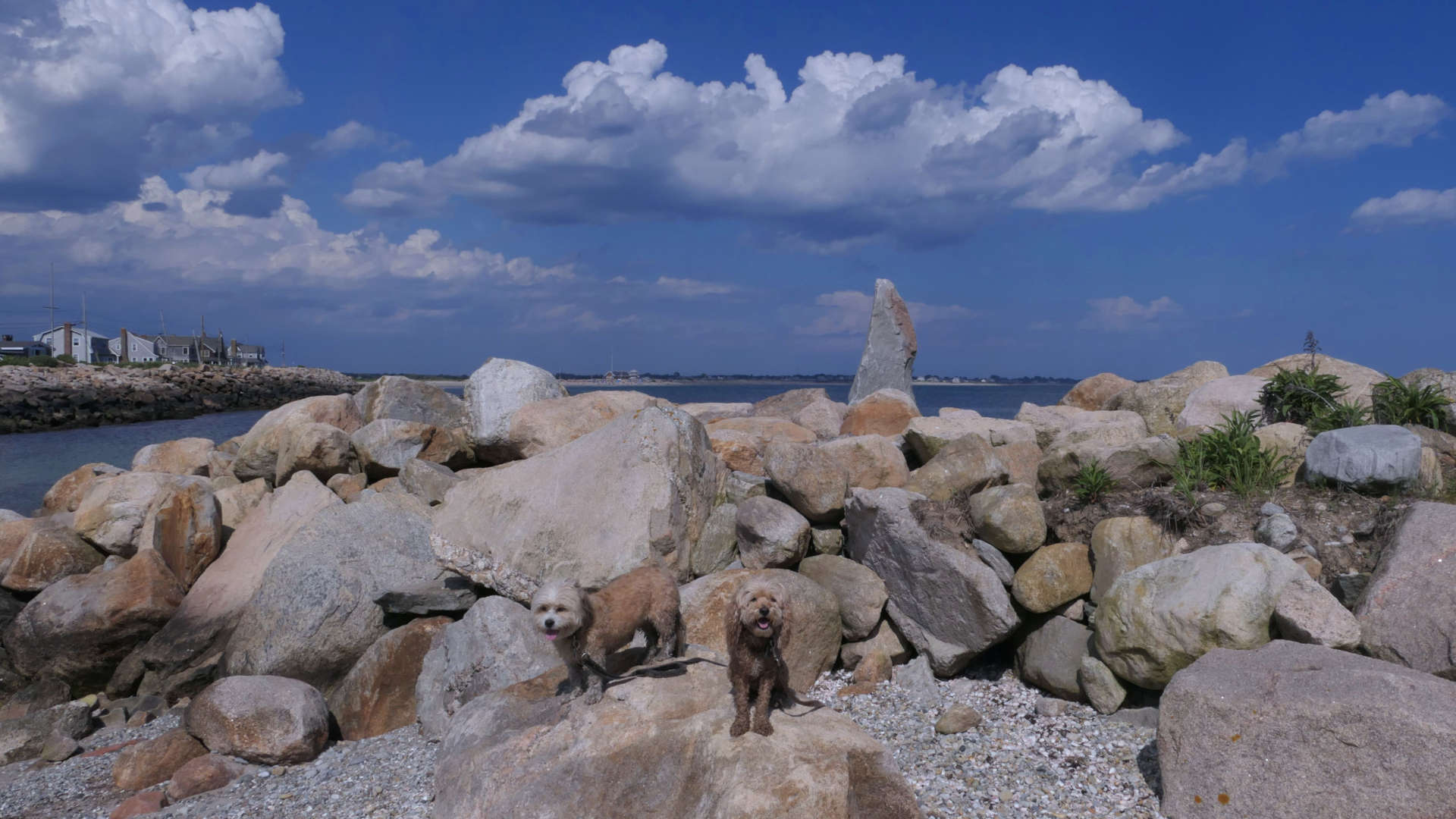 South_Kingstown541