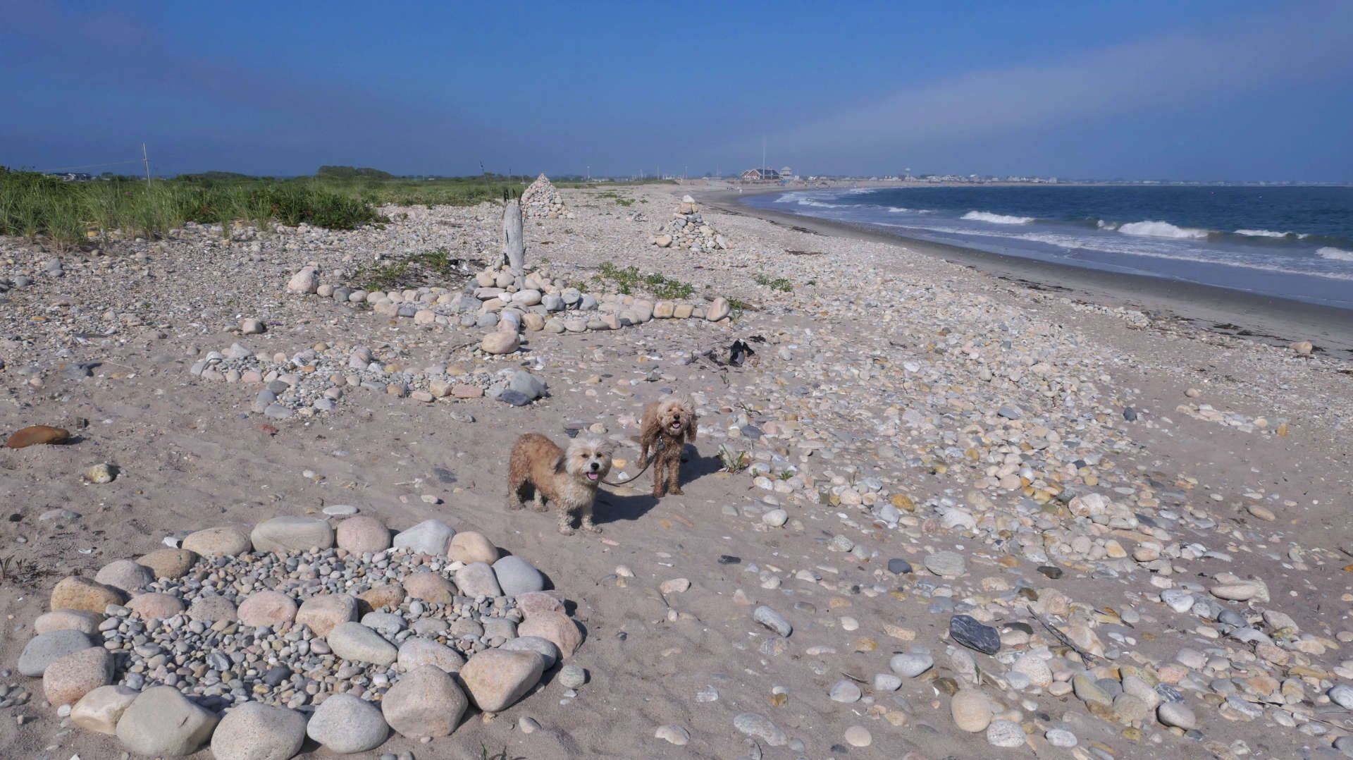 South_Kingstown547