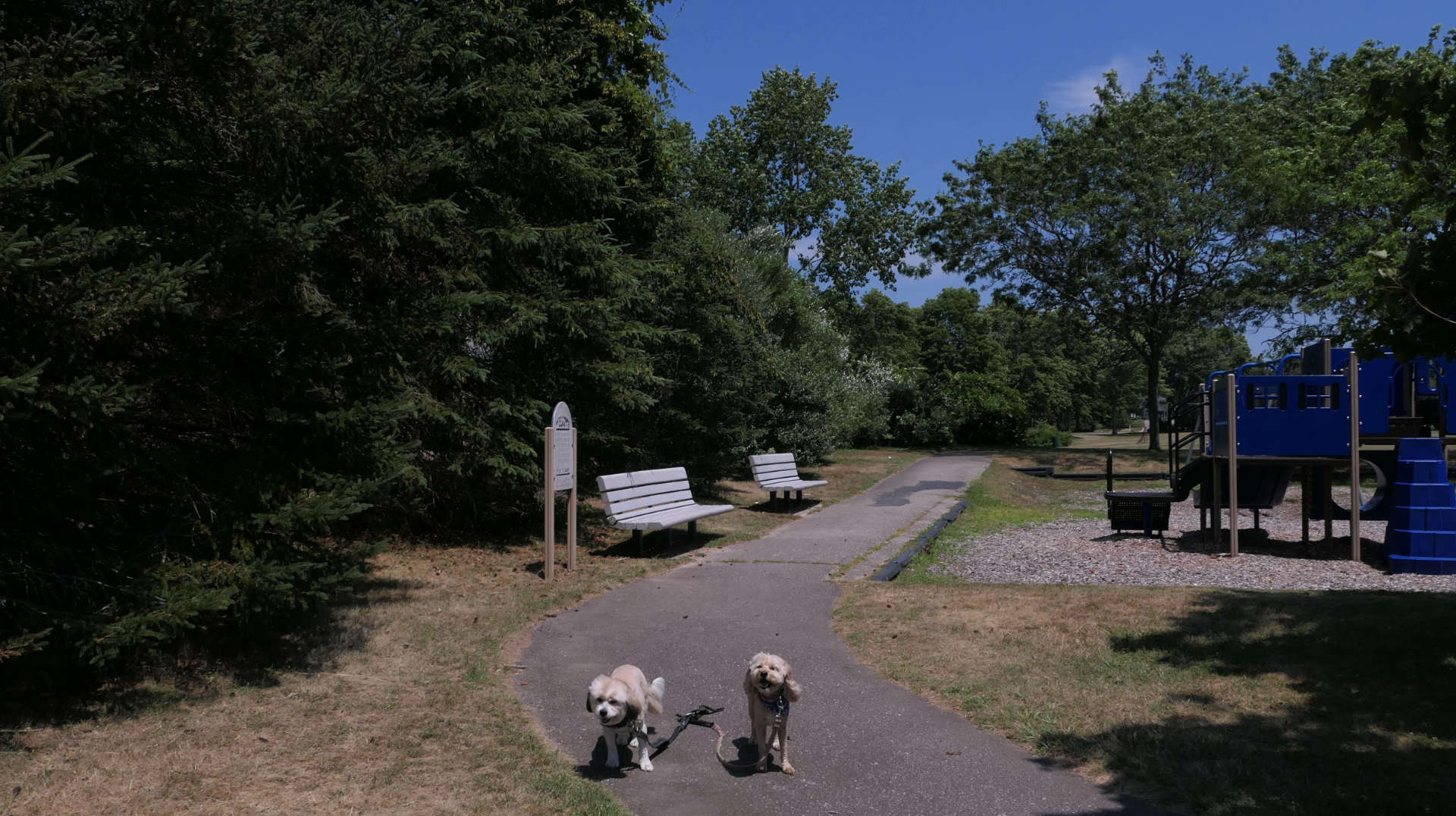 South_Kingstown557