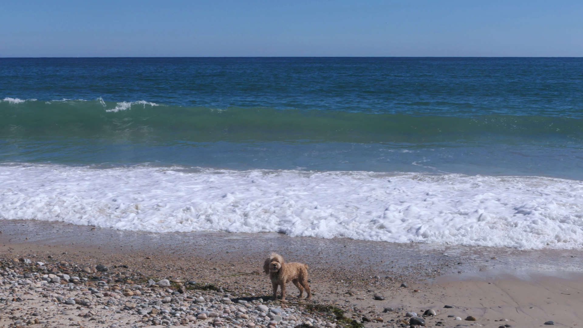 South_Kingstown595