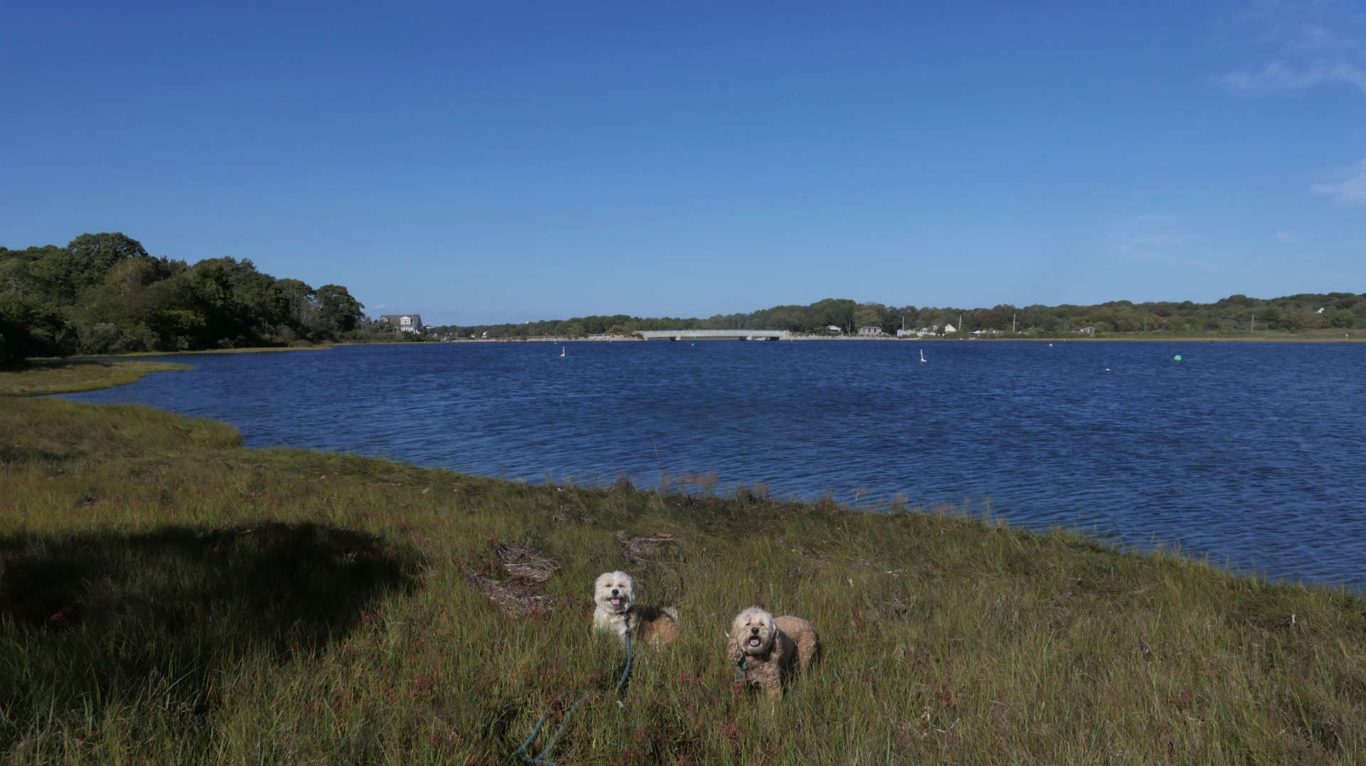 South_Kingstown617
