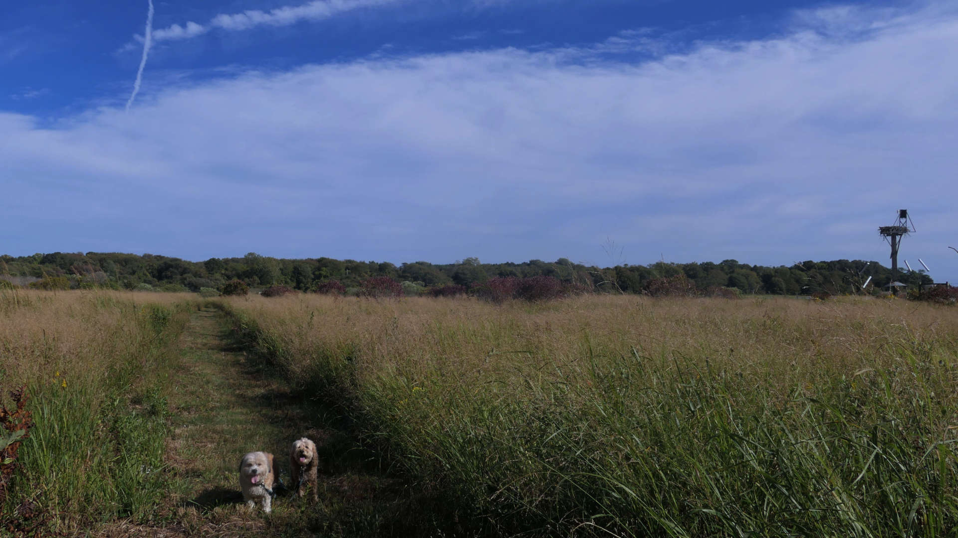 South_Kingstown618