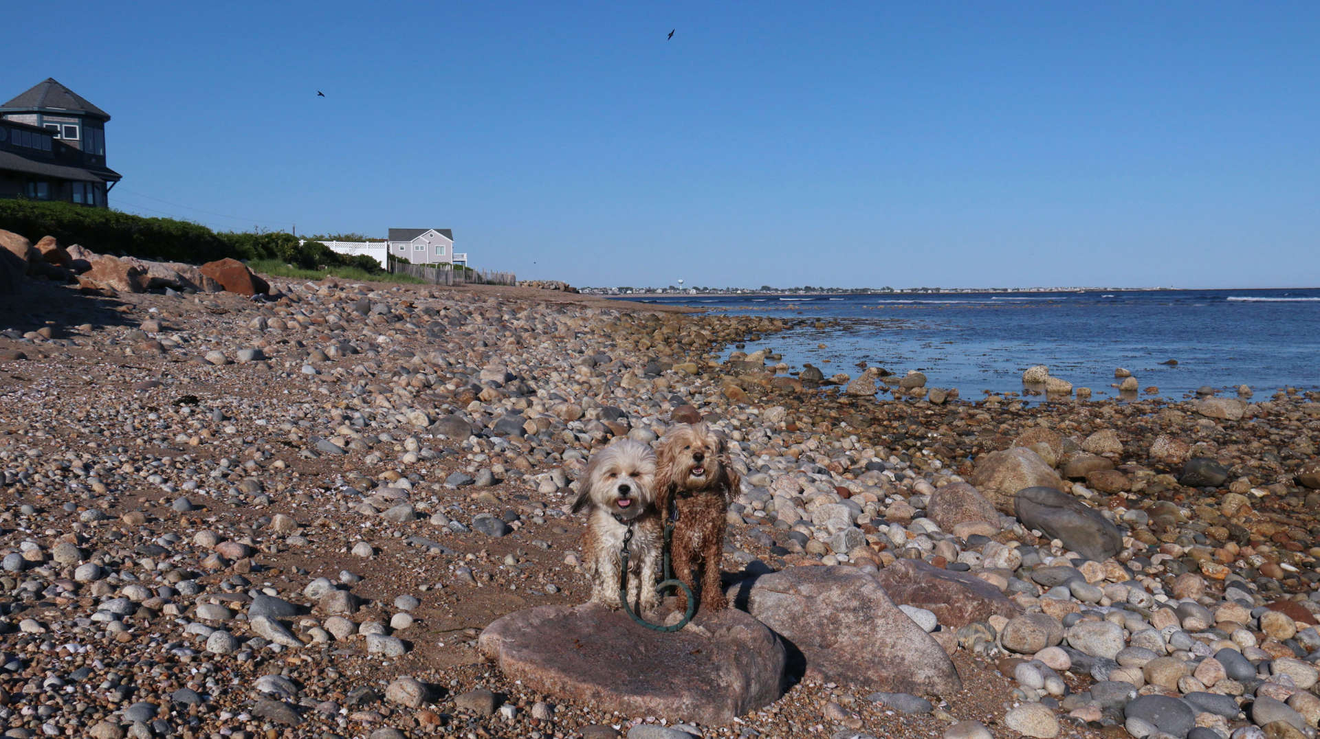 South_Kingstown733